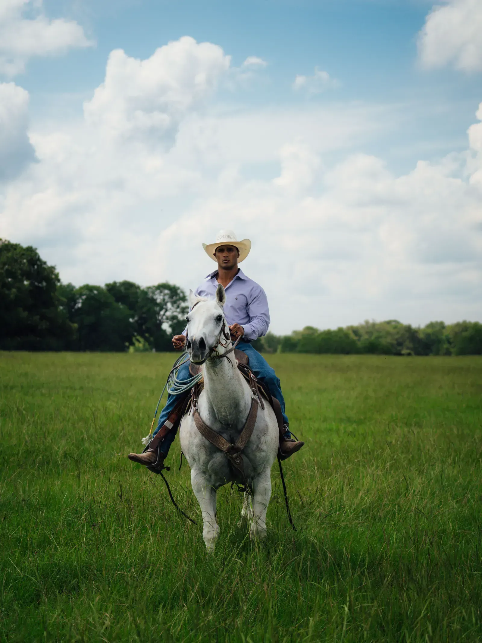 Cowboy on a white horse in a grassy field under a bright, cloudy sky.