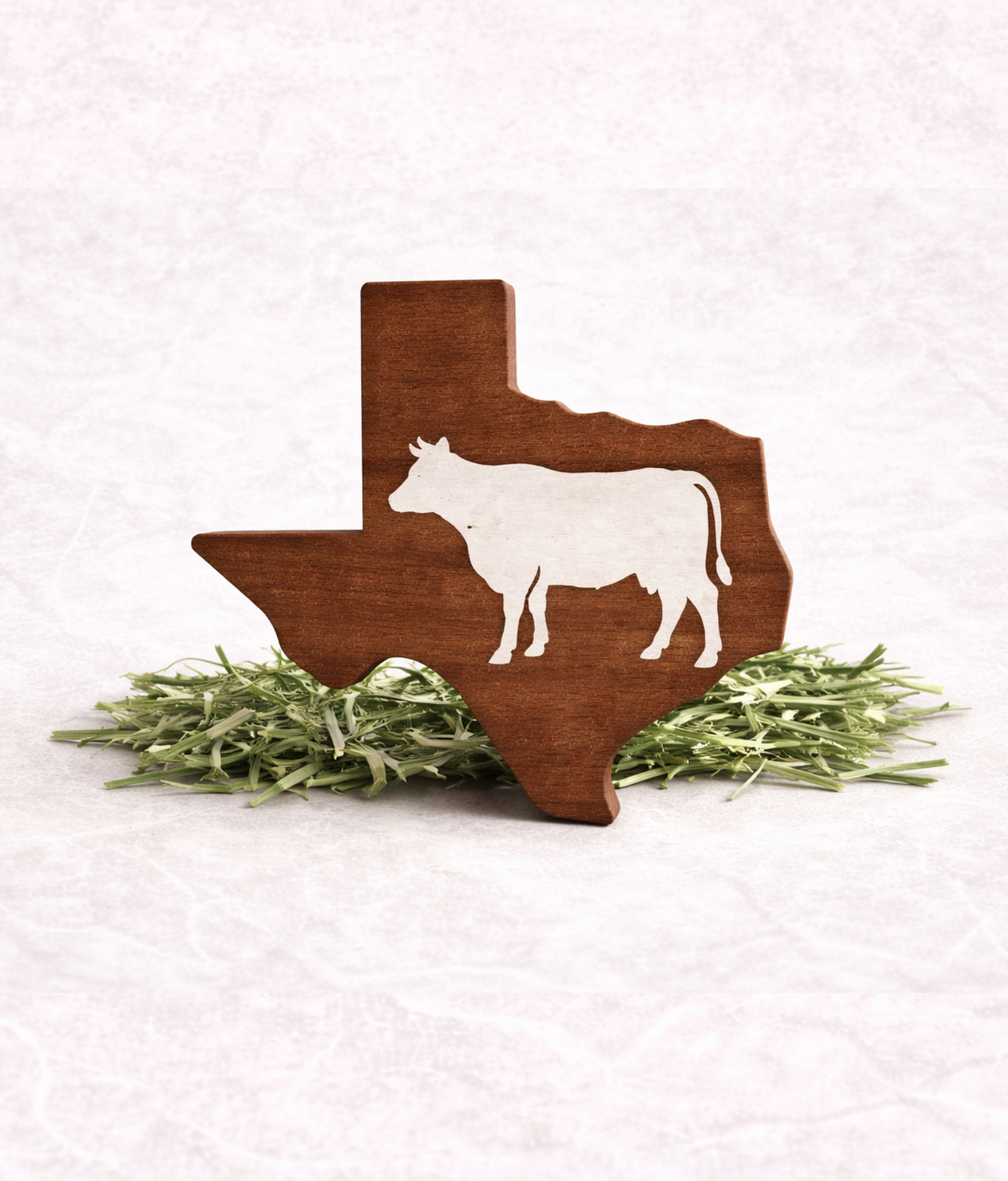 Cattle texas