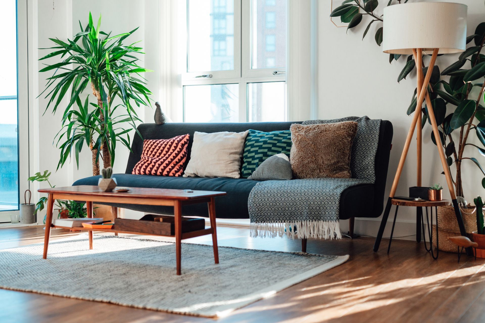 A living room with a couch , coffee table , lamp and plants. — Lakeport, CA — Premier Flooring