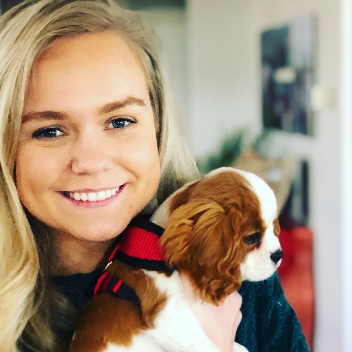 Blonde woman smiles while holding a small, brown and white Cavalier King Charles Spaniel puppy indoors.