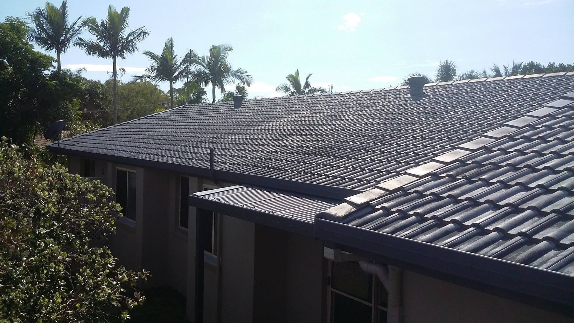 Dark Gray Tile Roof on a Building With Palm Trees in the Background — Over the Top Roofing Specialists in Morayfield, QLD