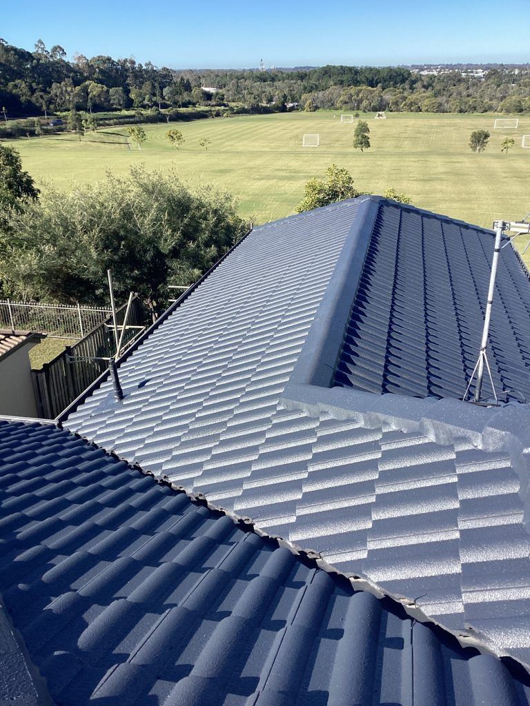 Gray Roof With a View of a Green Field, Trees, and Sky — Over the Top Roofing Specialists in Deception Bay, QLD
