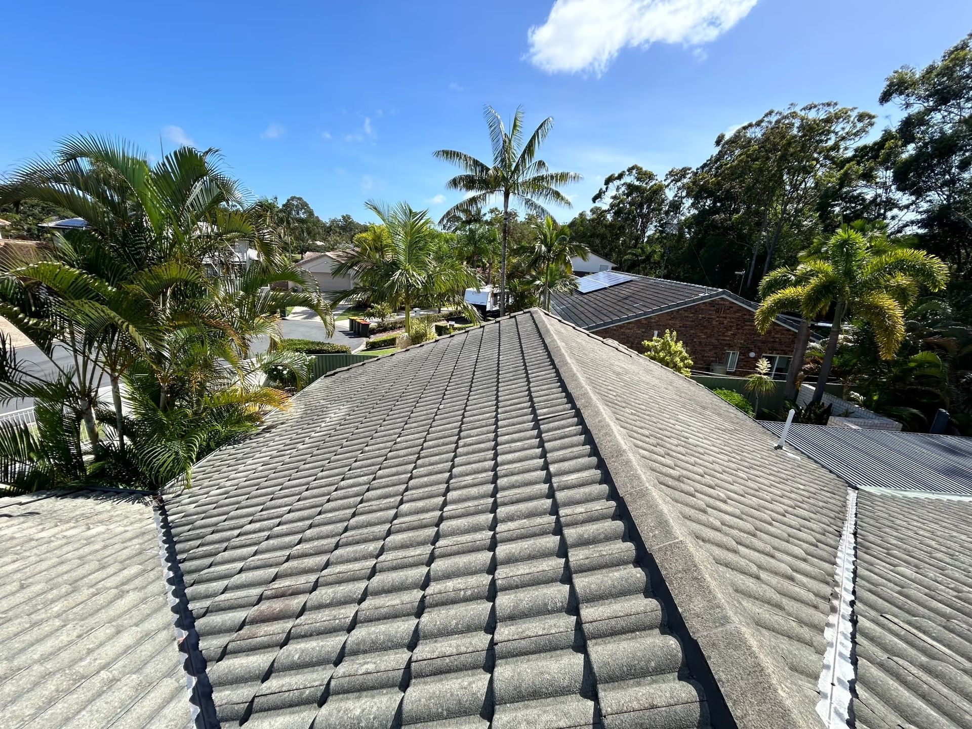 Tiled Roof With a Tree-lined Street in the Background — Over the Top Roofing Specialists in Kunda Park, QLD