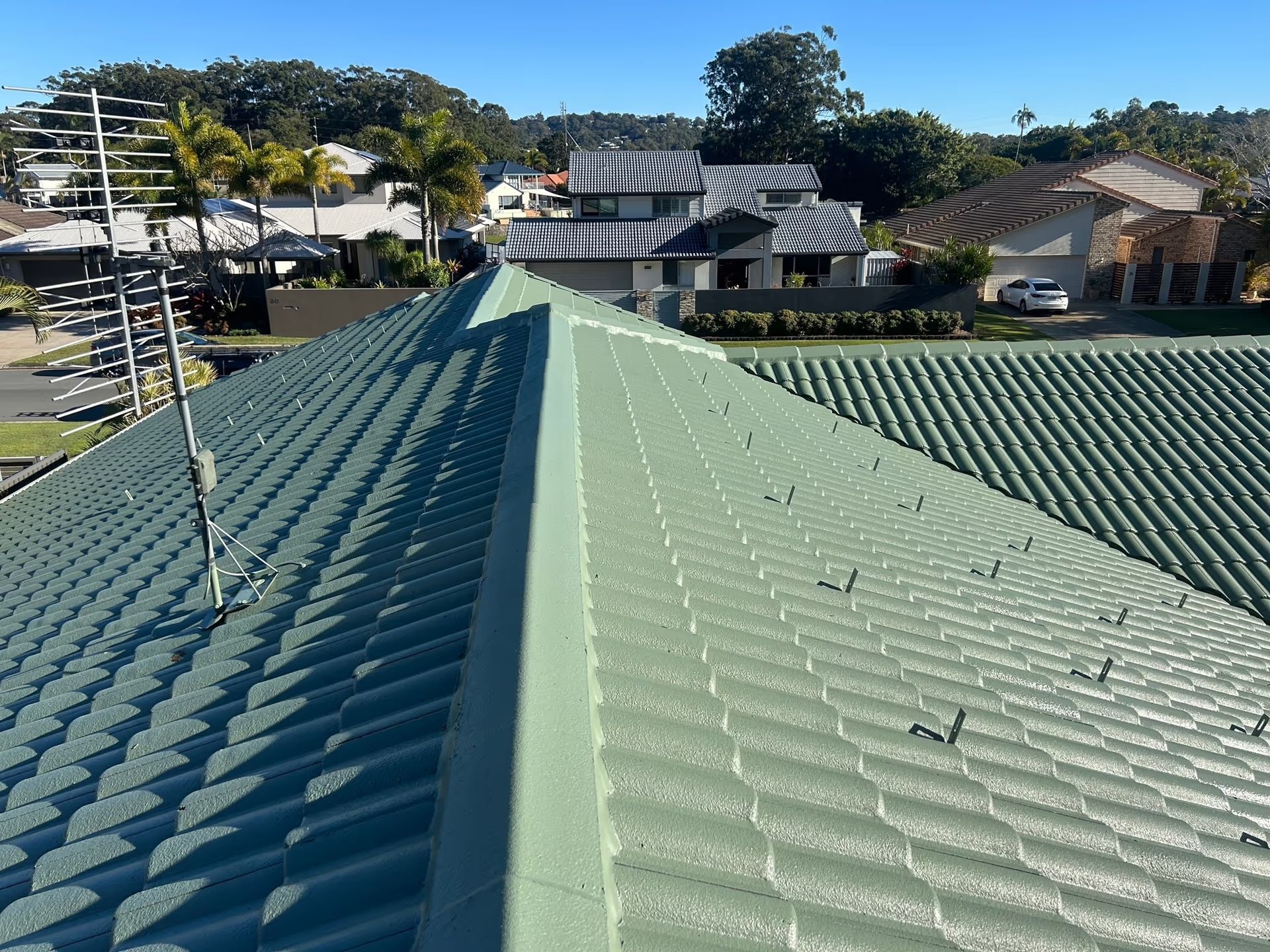 Green metal roof with visible ridges, a rooftop antenna, and suburban houses in the background.