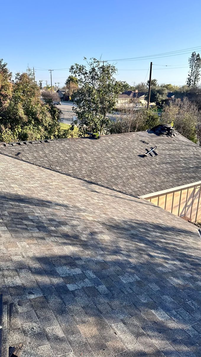 Rooftop with gravel, low shrubs, and clear blue sky in bright sunlight