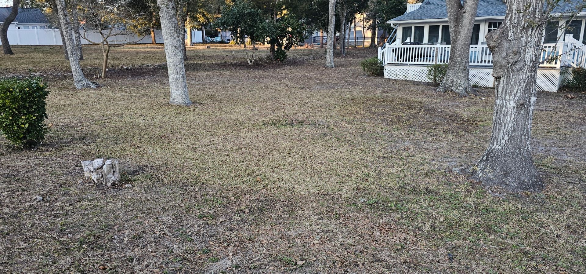 A grassy backyard with sparse trees and scattered leaves, featuring a light-colored dog standing near the bottom left.