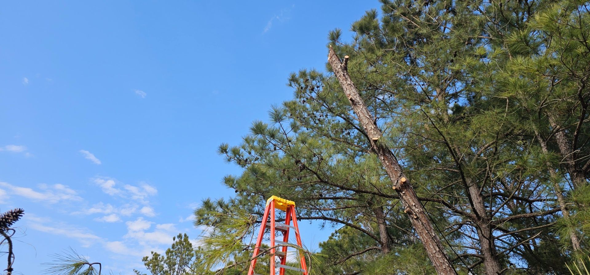 A man wearing a hard hat and goggles is standing in a room.