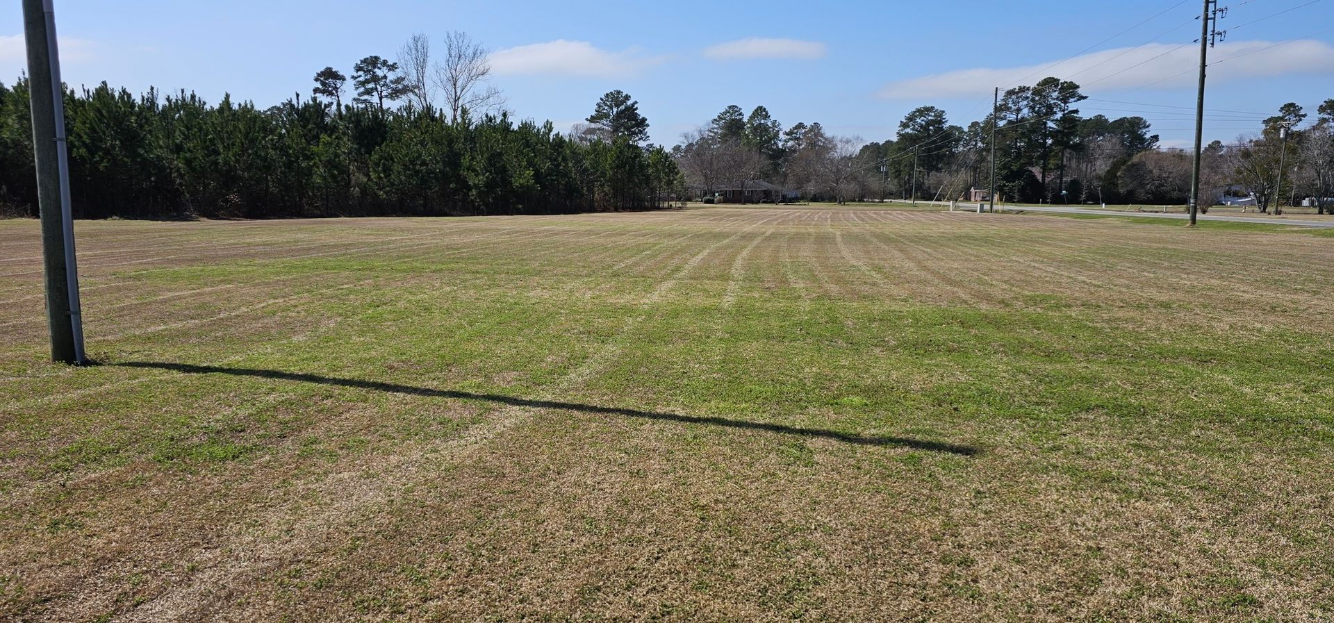 A vast, sunlit, mown grassy field under a clear blue sky, bordered by a dense line of dark green trees.
