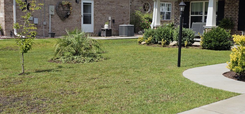 A brick house with a front lawn, a small tree, landscaping shrubs, and a curved concrete walkway.