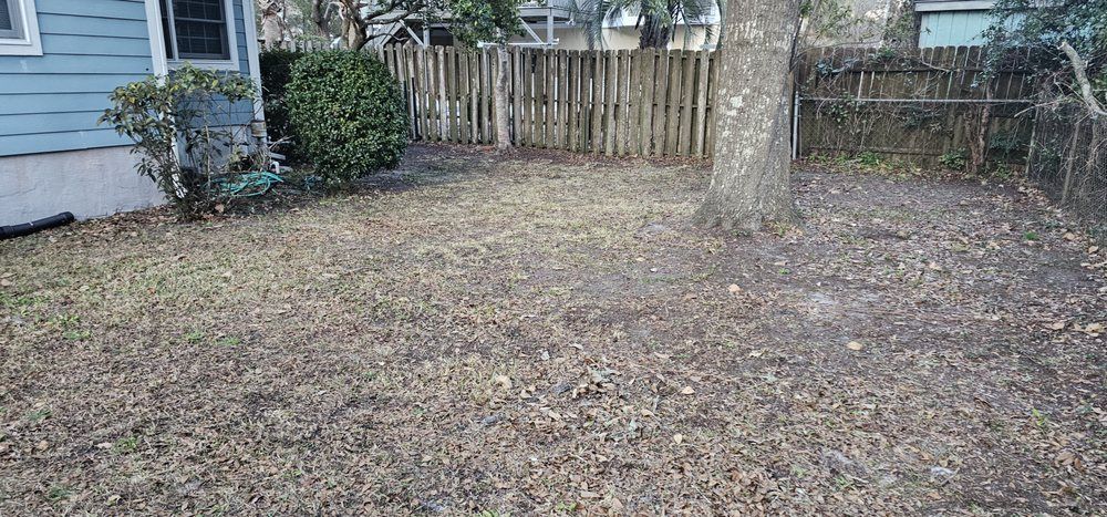 A fenced-in backyard with a large tree, scattered brown leaves, and a blue house on the left.