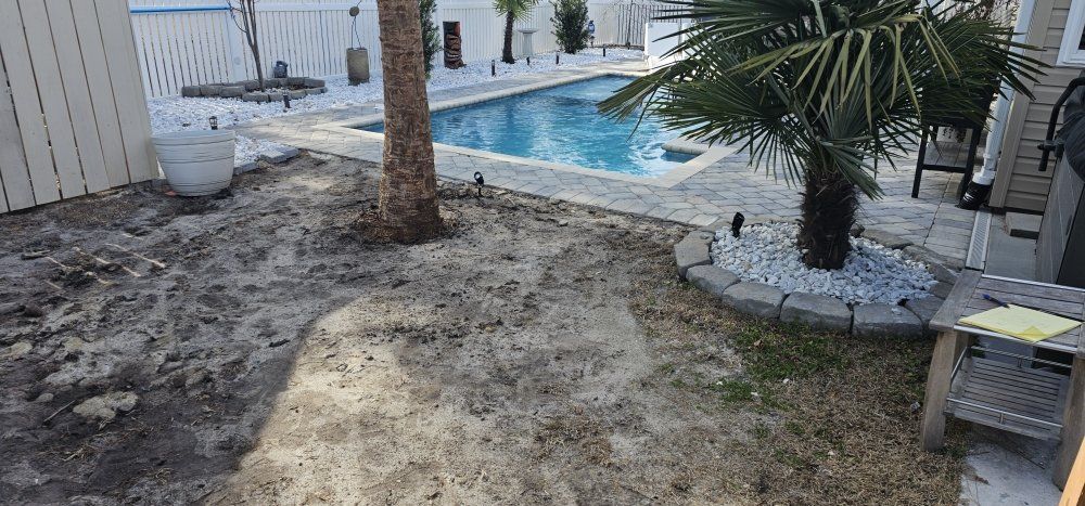 A backyard scene with a swimming pool, a palm tree in a stone planter, and an area of bare, sandy soil in the foreground.
