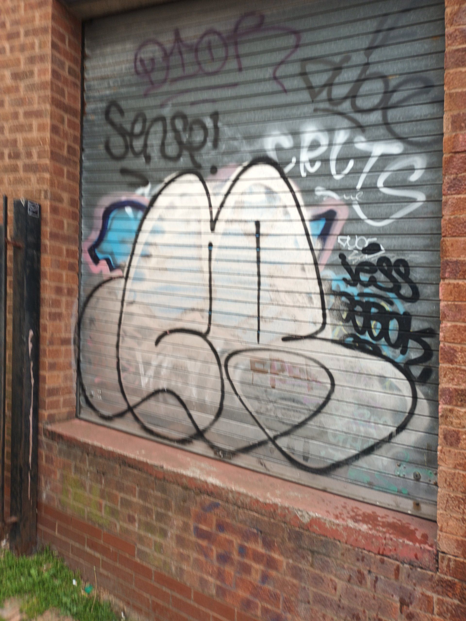 shop shutter covered in graffiti