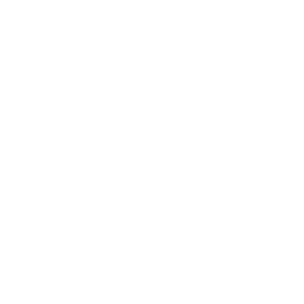 Azle Soccer Association Logo