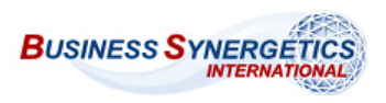 Business Synergetics International
