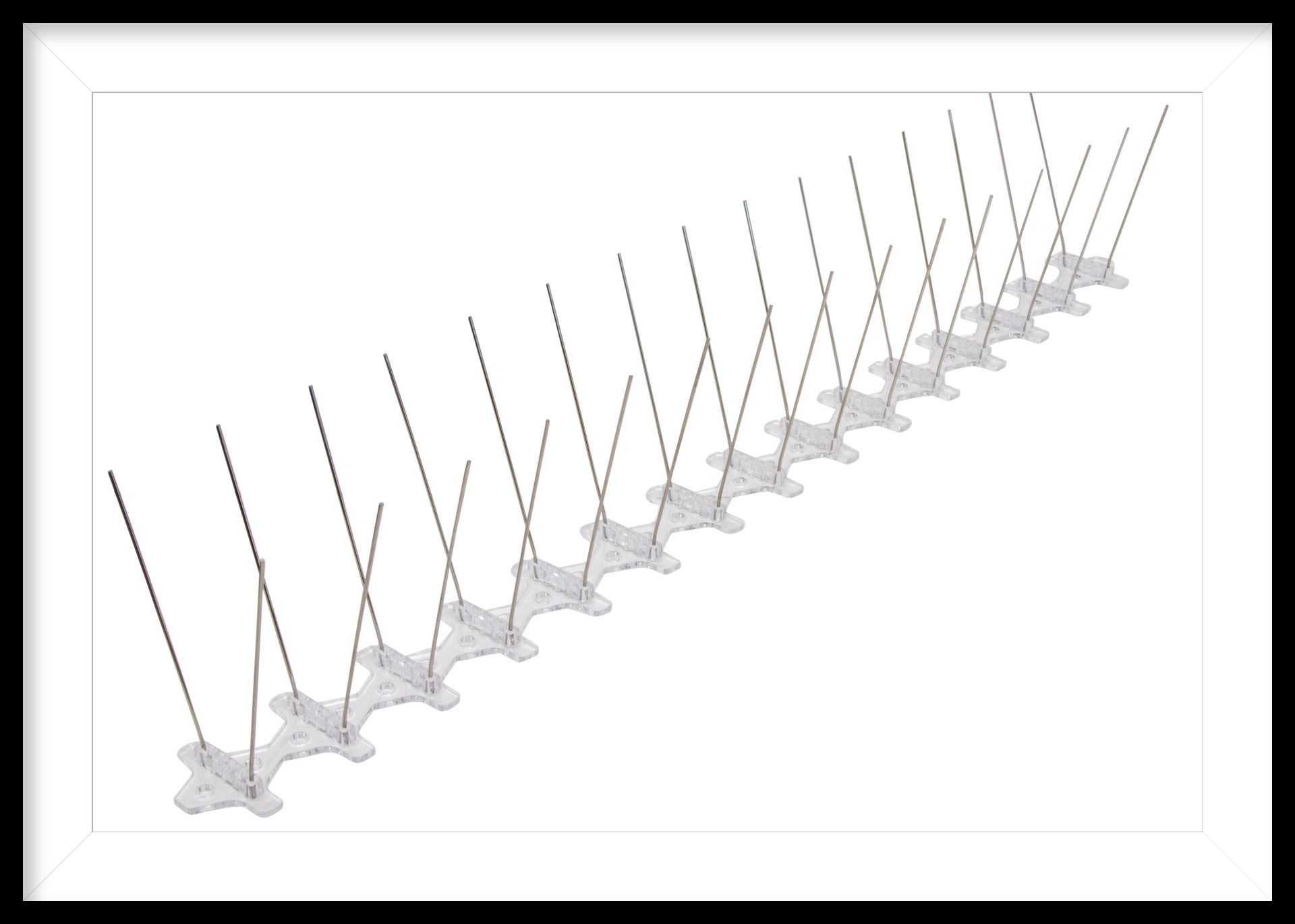 Bird Spikes 3-inch - Wide Base 100 feet