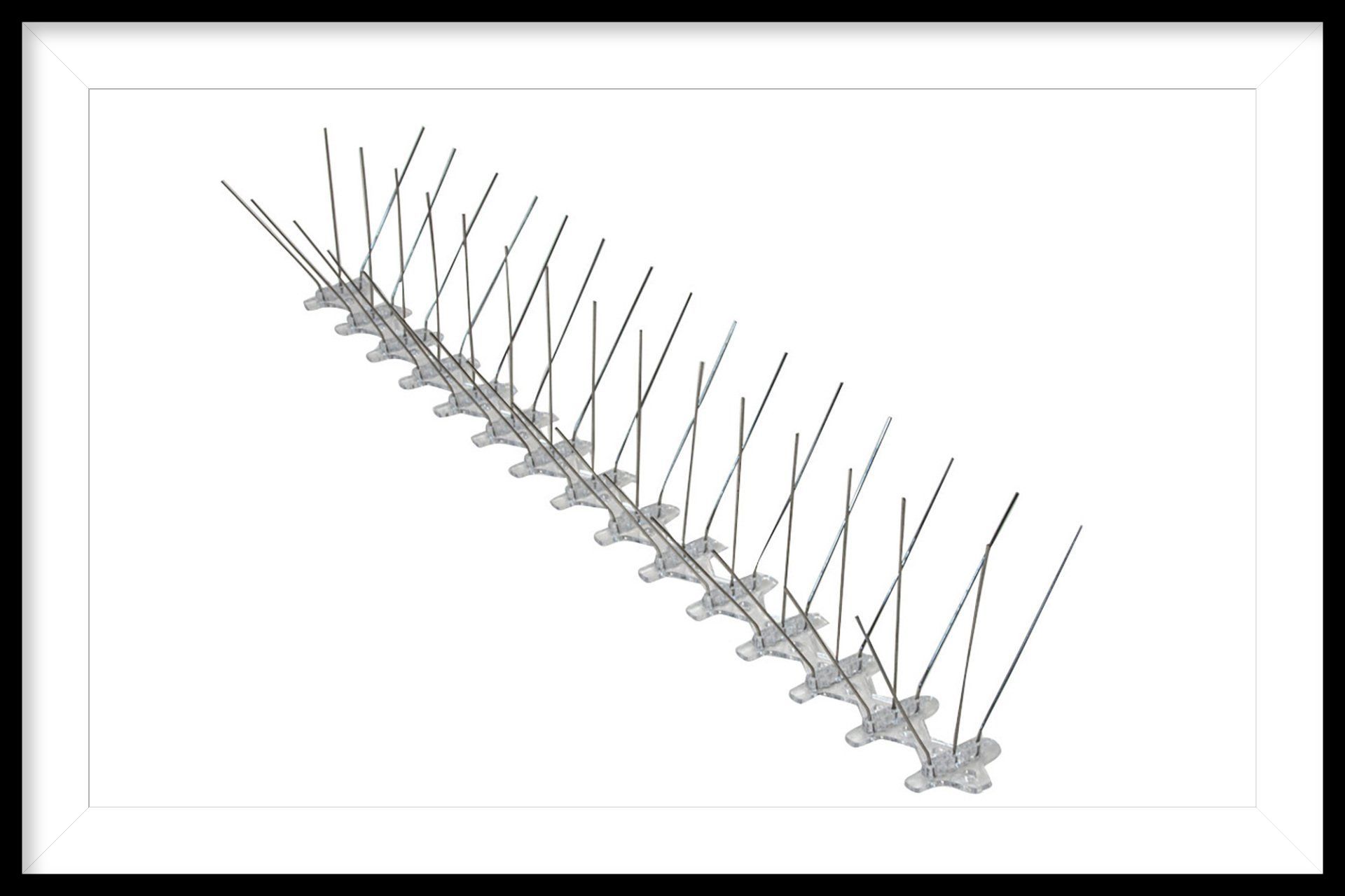 Bird Spikes 5-inch - Wide Base 100 feet