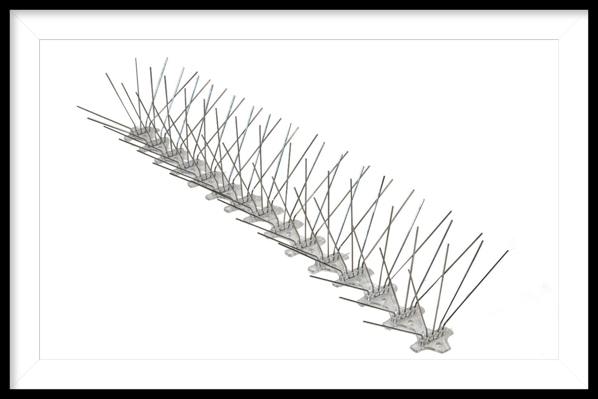 Bird Spike 8 inch Wide - 100 ft