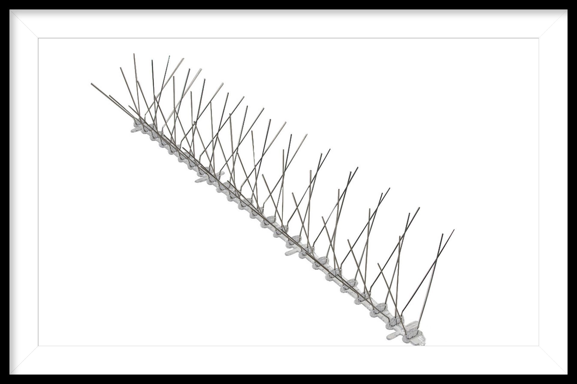 Bird Spikes 5.6-inch Narrow Base 100 ft