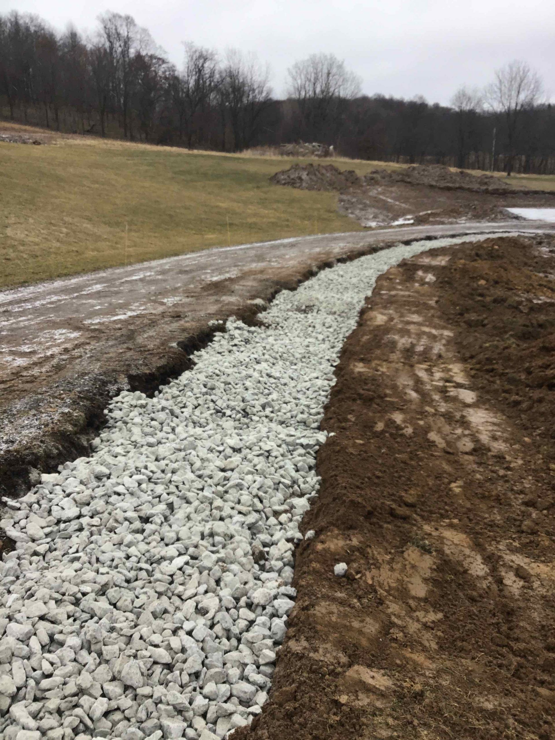 A gravel path going through a field with trees in the background.