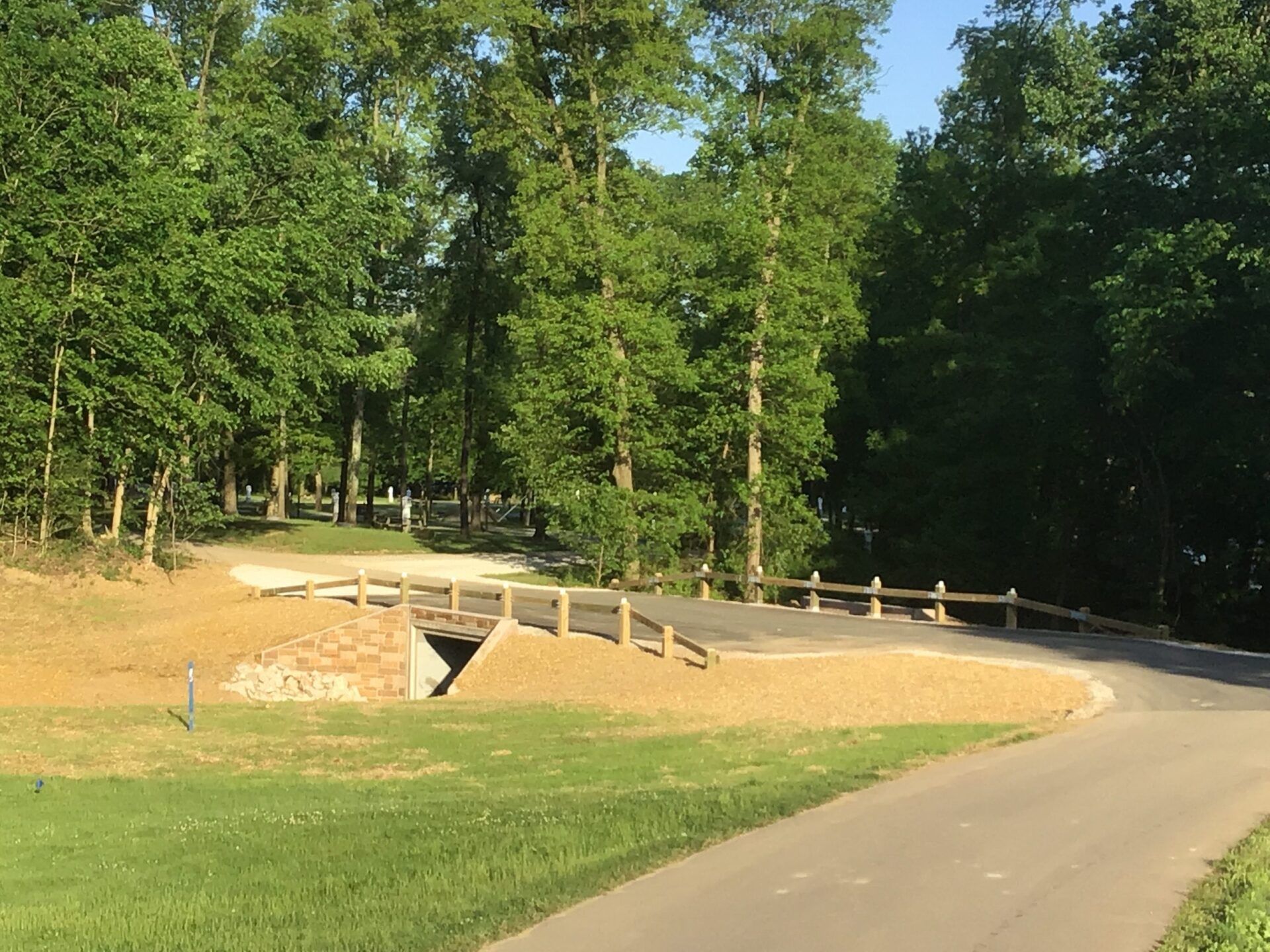 A road going through a park with trees on both sides