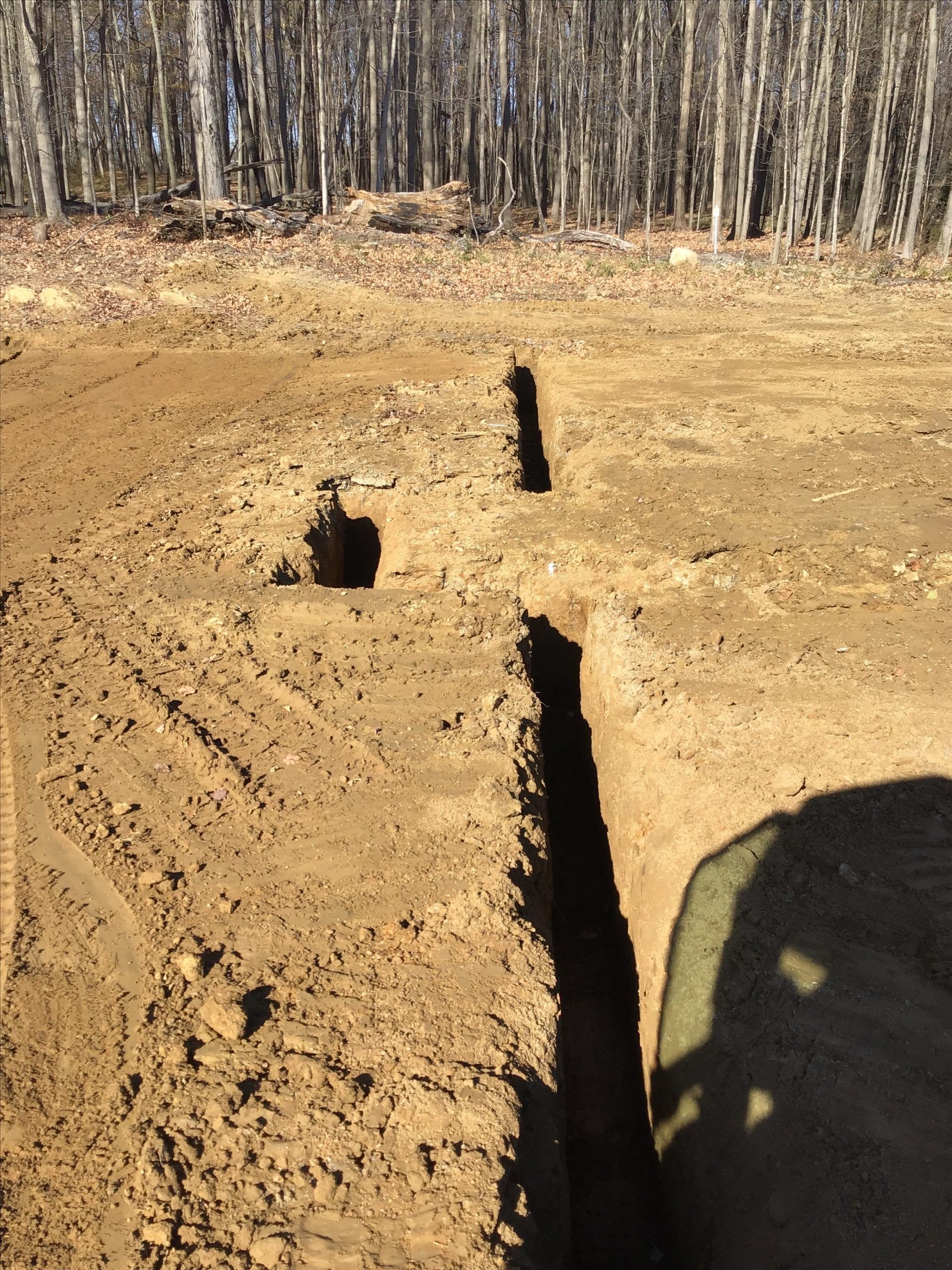 A person is digging a hole in the dirt in the woods.