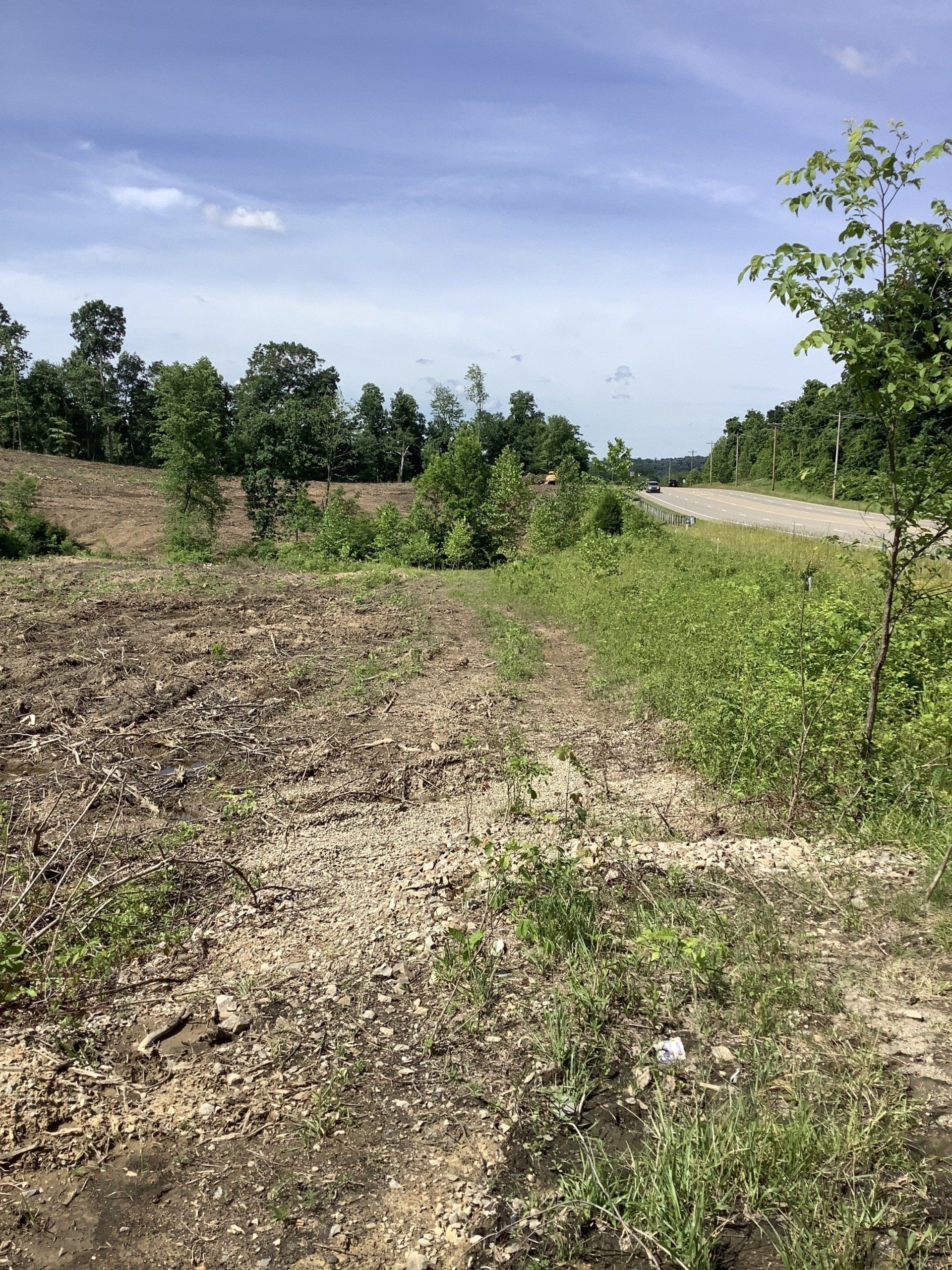 A dirt road going through a field with trees on the side of it.