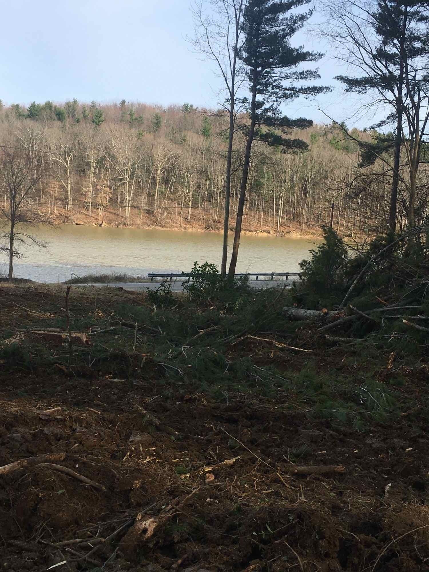 A large body of water surrounded by trees in the middle of a forest.