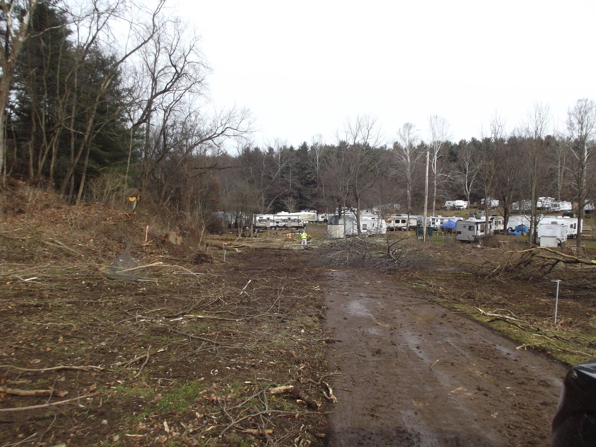 A dirt road with a lot of trees on the side of it