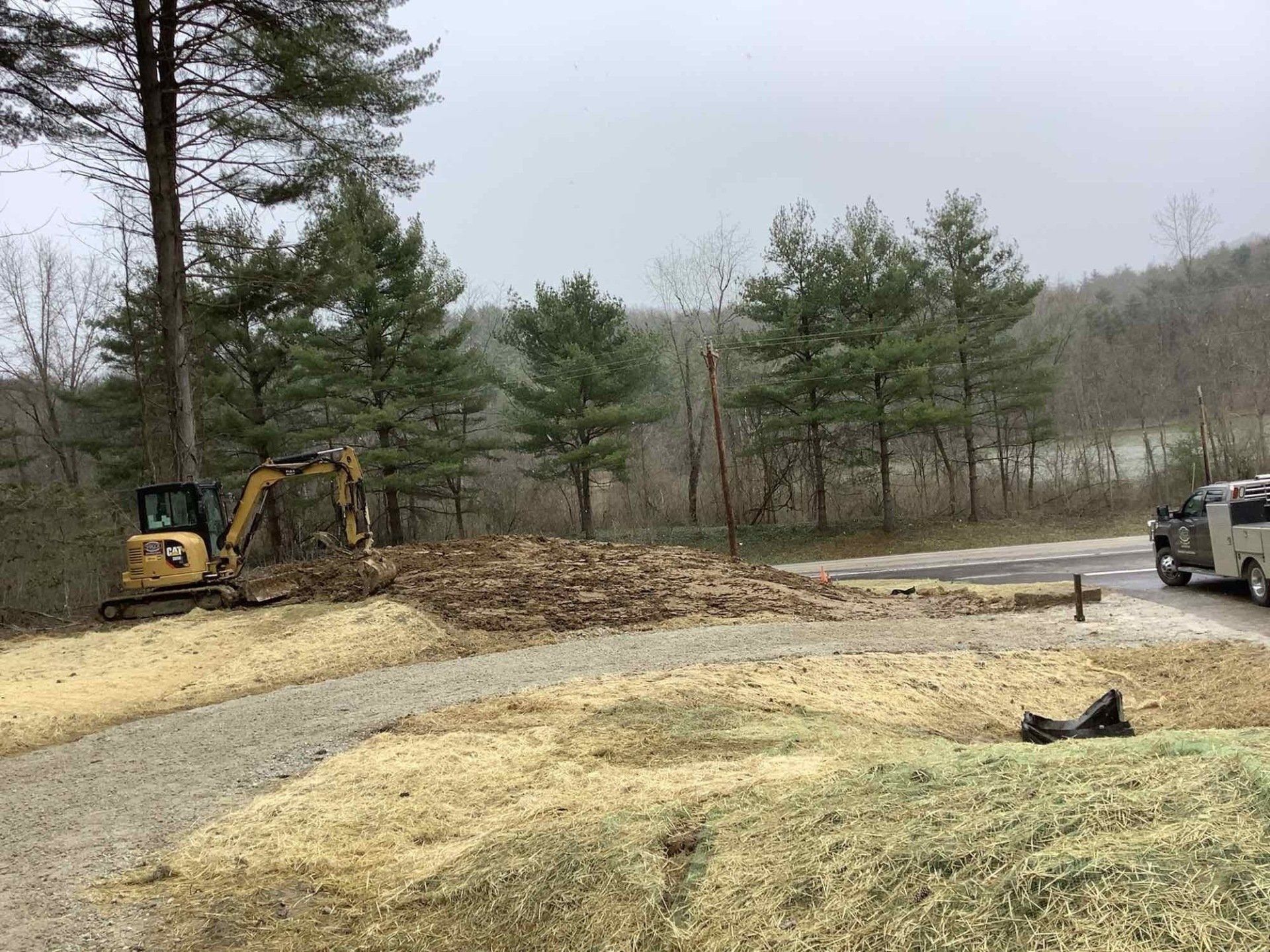 A bulldozer is cutting down a tree in the middle of a forest.