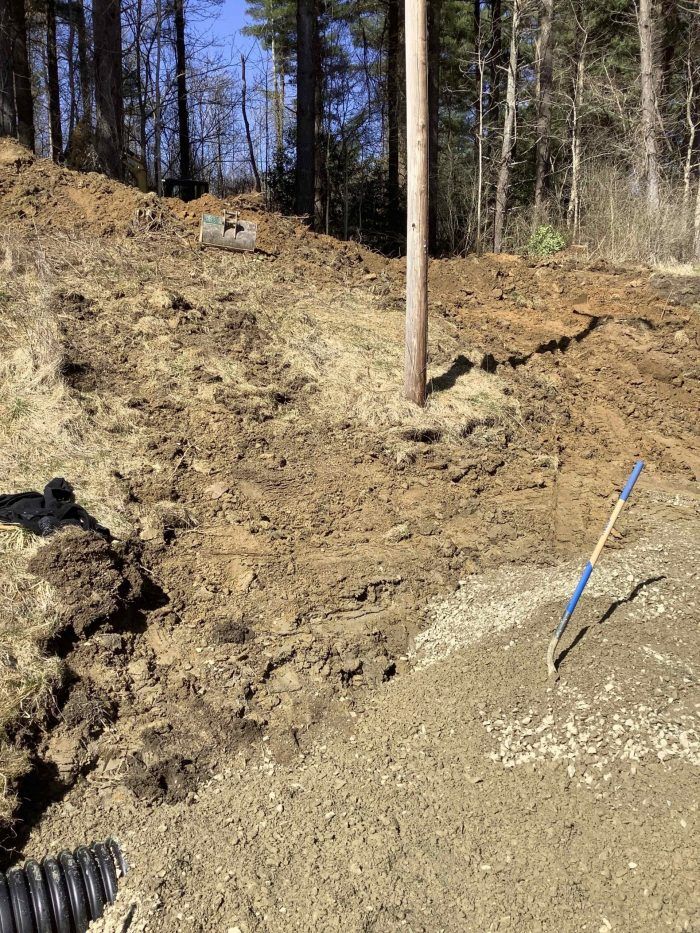A person is digging a hole in the dirt in the woods.