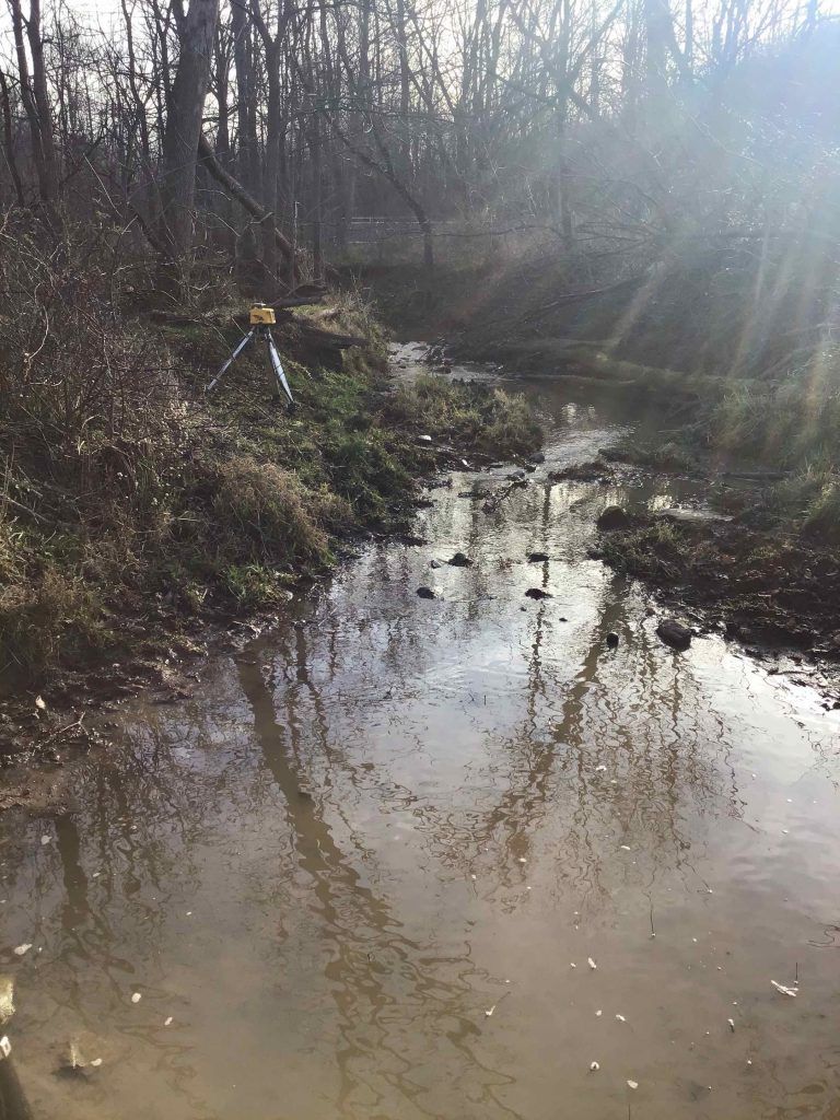 A muddy stream in the middle of a forest with trees reflected in the water.