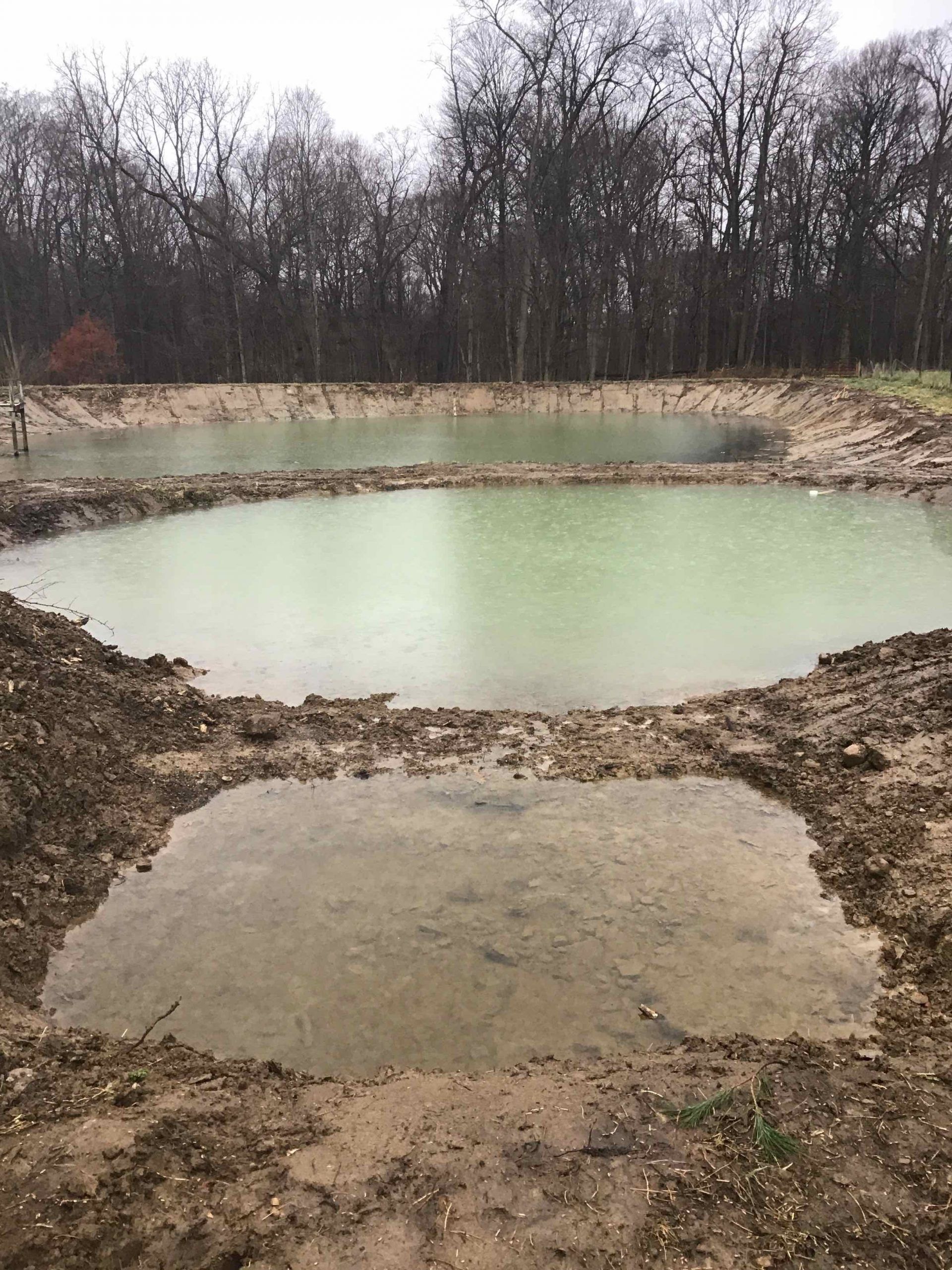 A small pond in the middle of a dirt field with trees in the background.