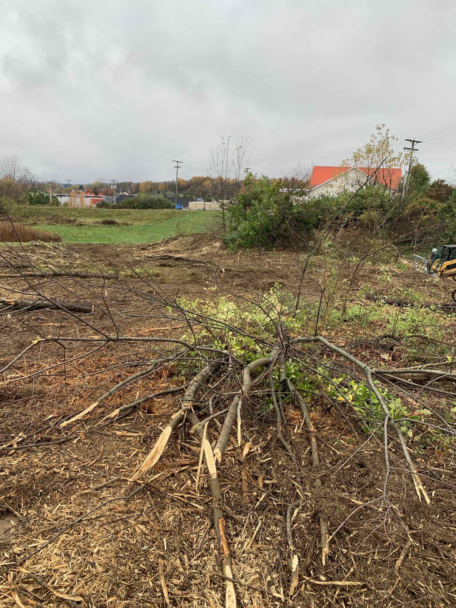 A field filled with lots of branches and leaves and a house in the background.