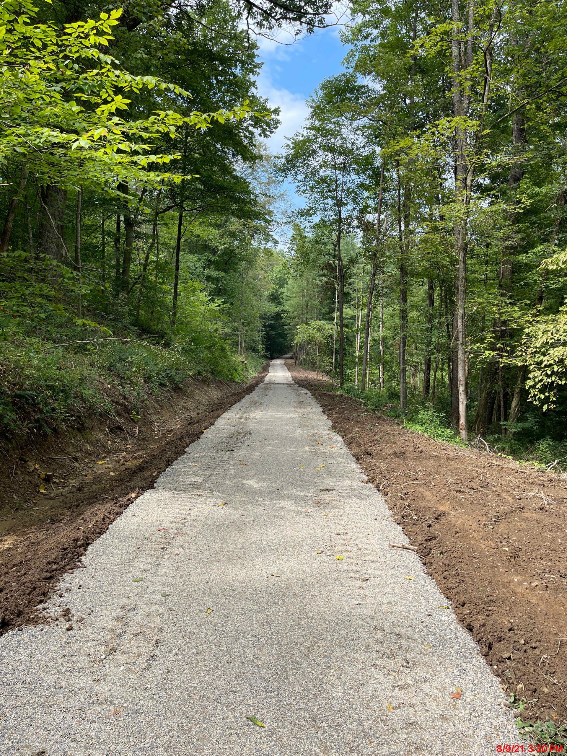 A gravel road going through a forest on a sunny day.