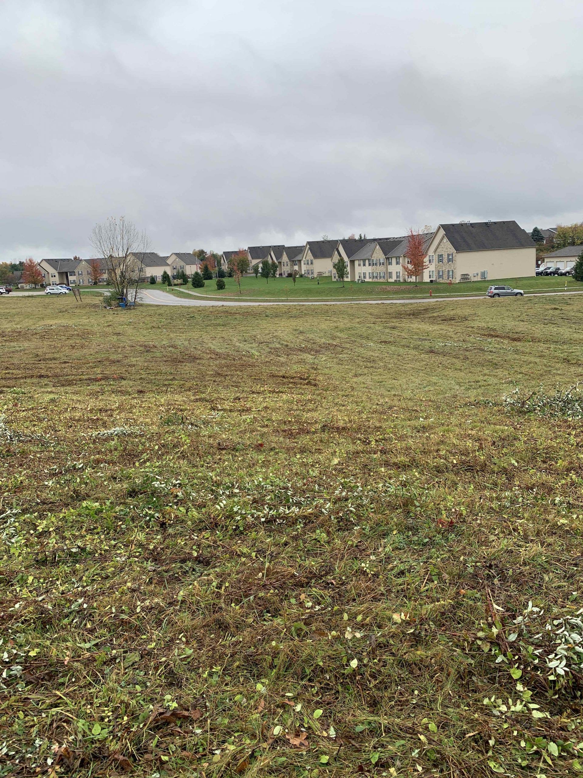 A large grassy field with houses in the background on a cloudy day.