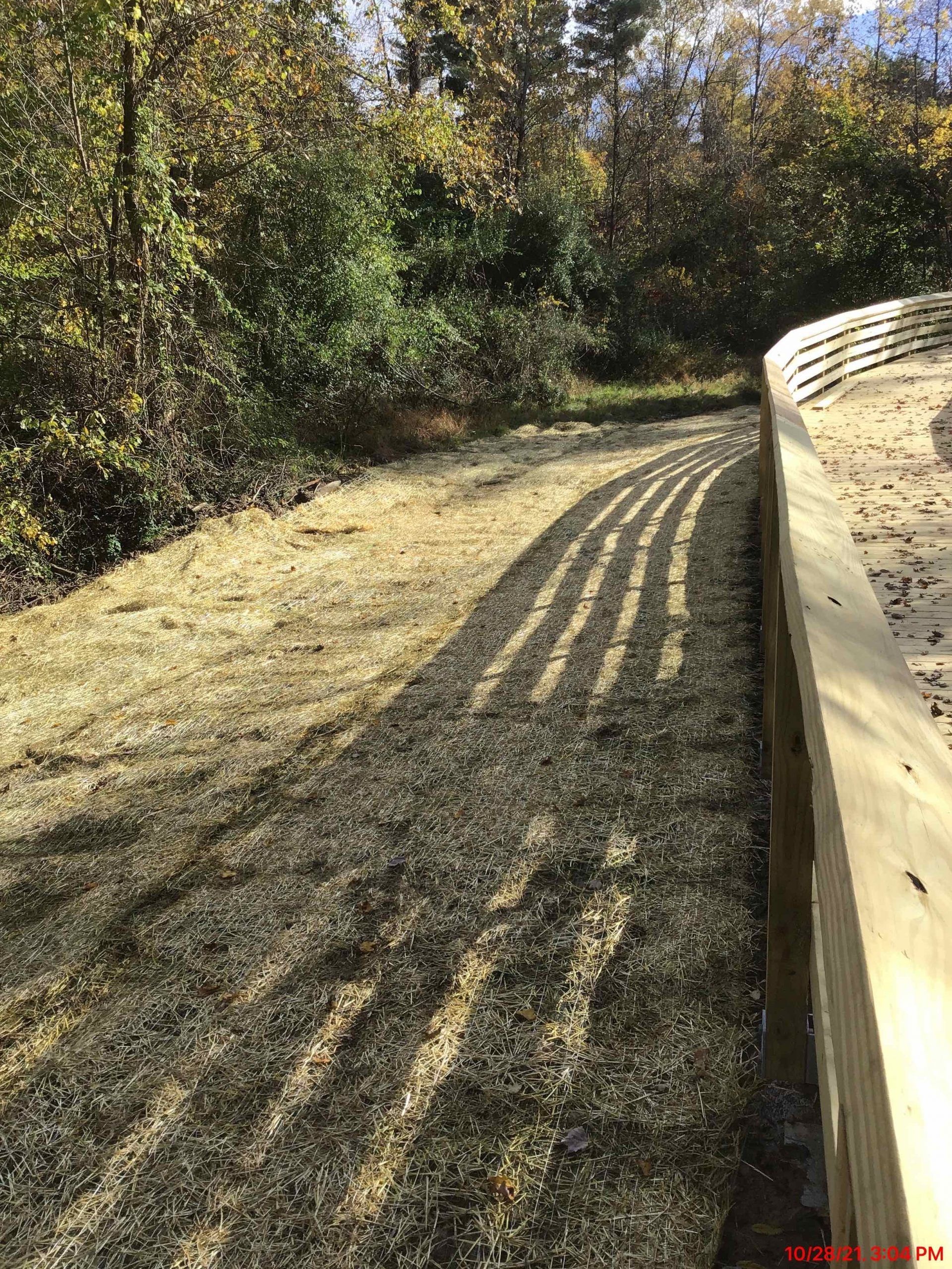 A wooden fence along a dirt road in the woods.