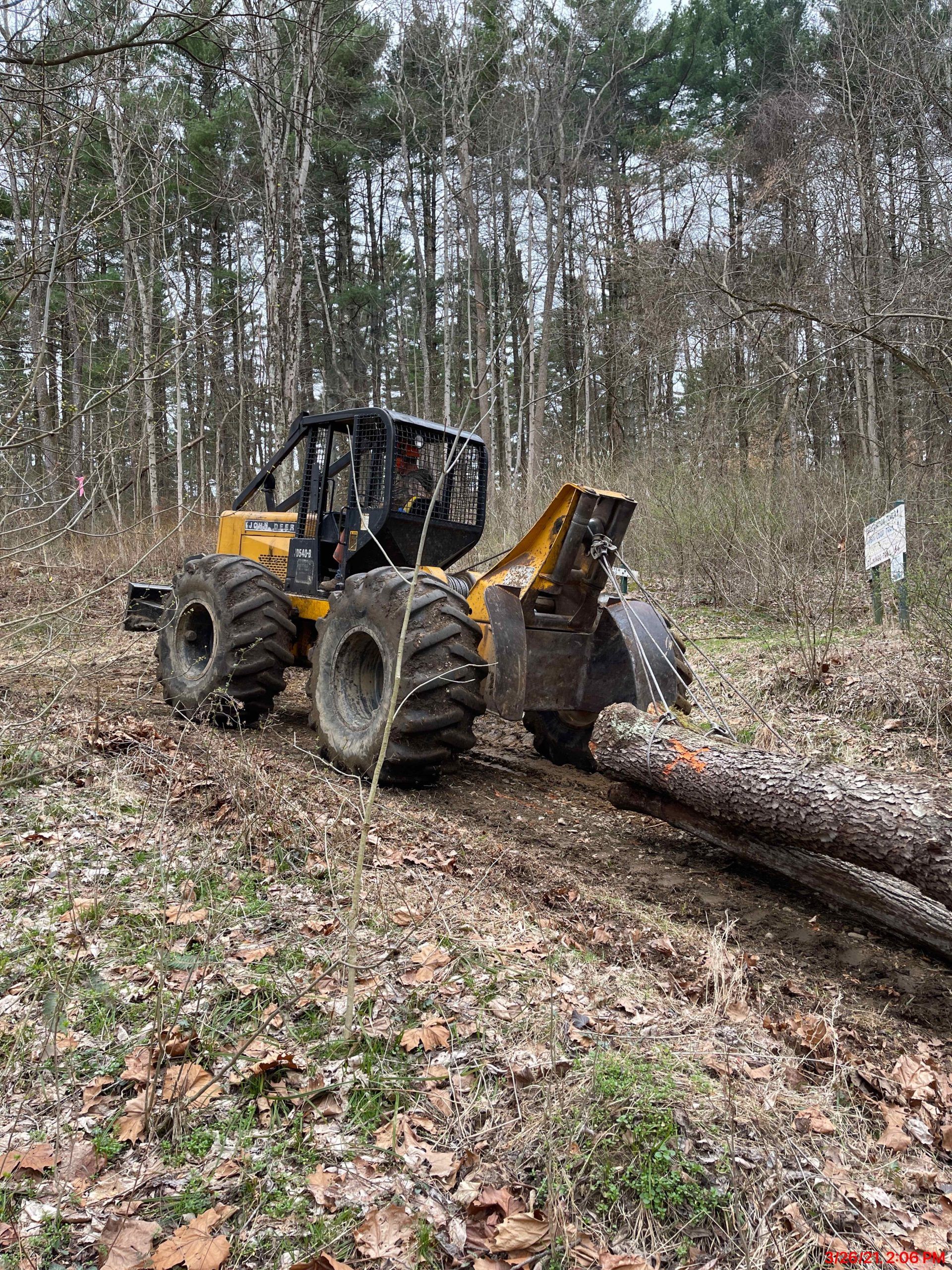 A yellow tractor is pulling a log through the woods.