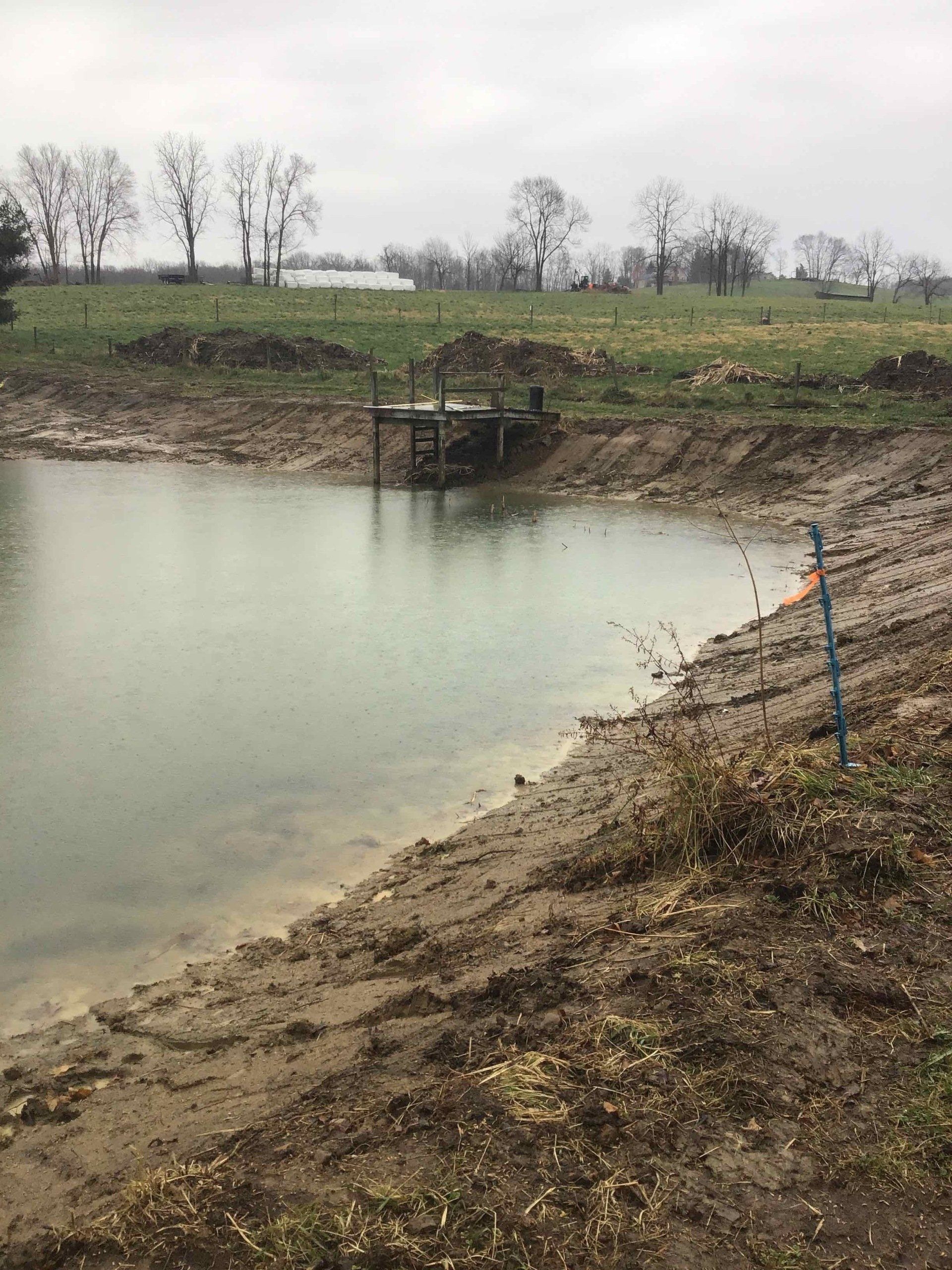 There is a small pond in the middle of a field.
