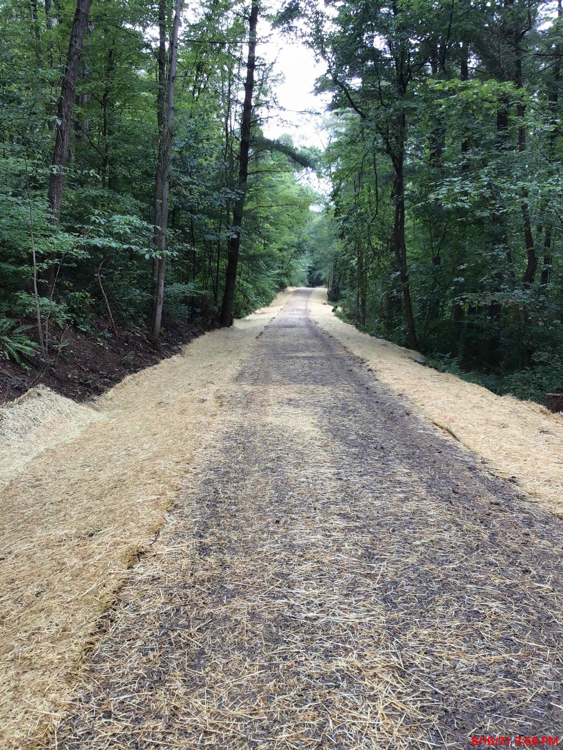A gravel road going through a forest with trees on both sides.
