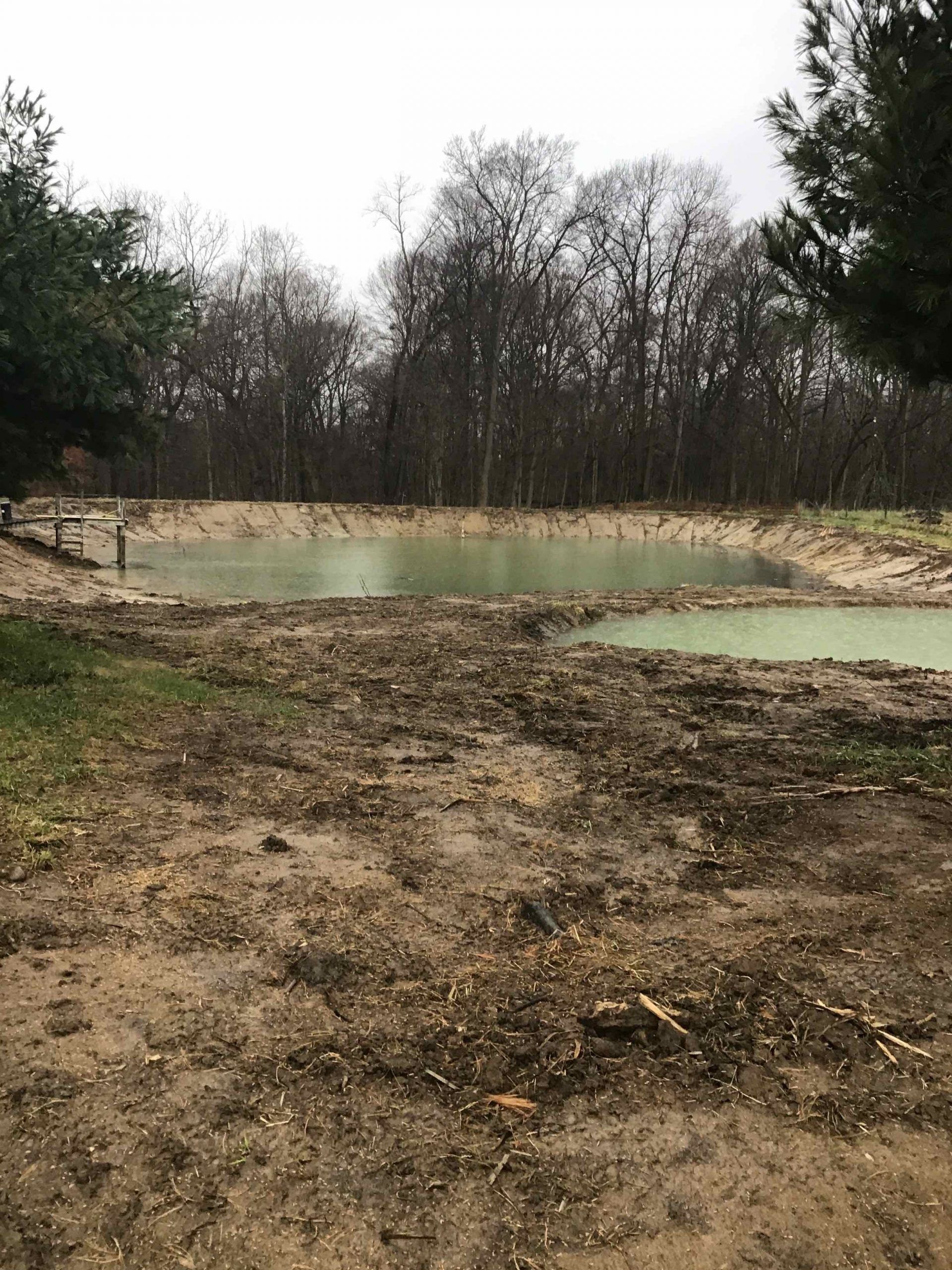 A small pond in the middle of a dirt field with trees in the background.
