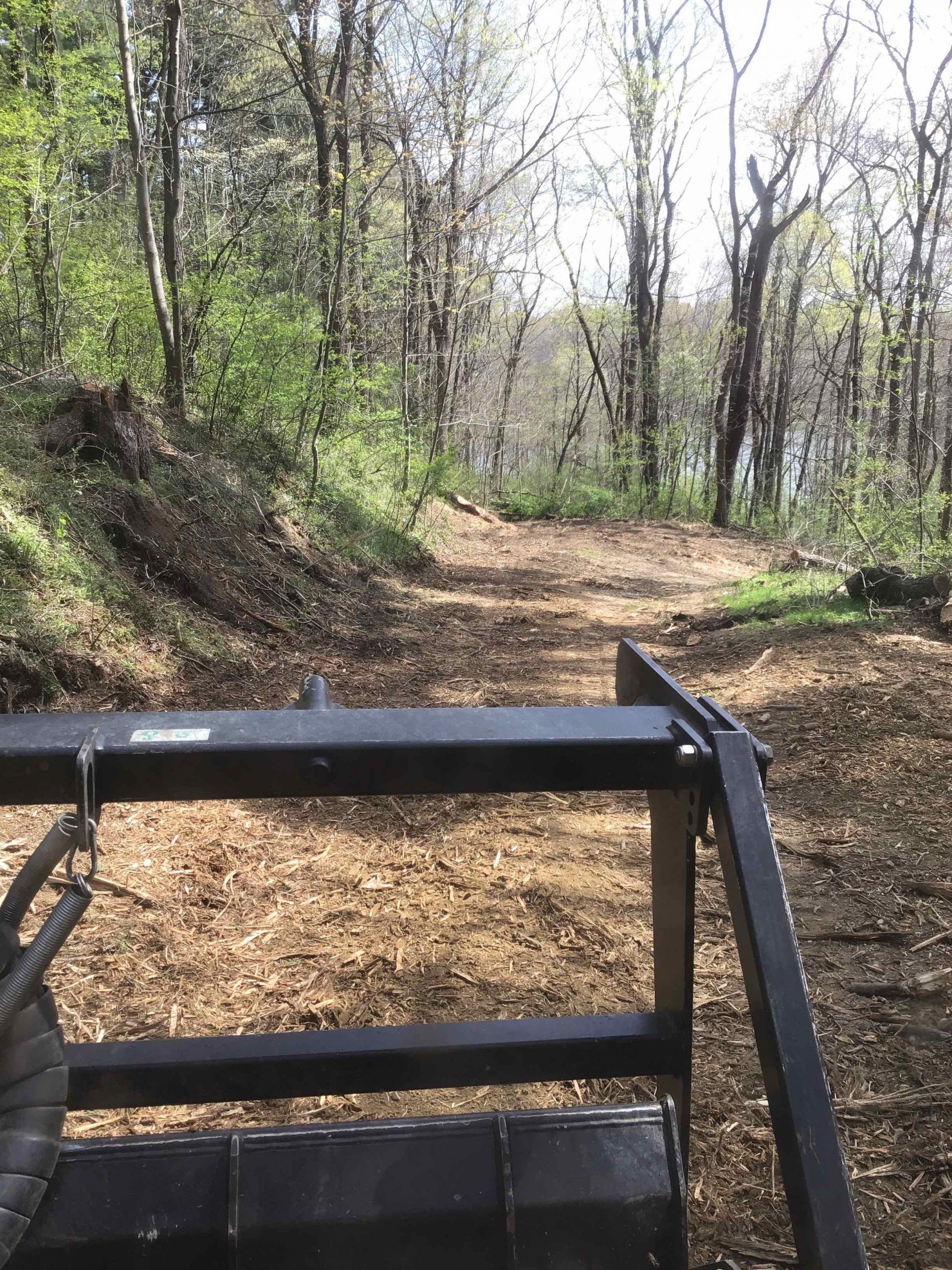 A person is walking down a path in the woods.