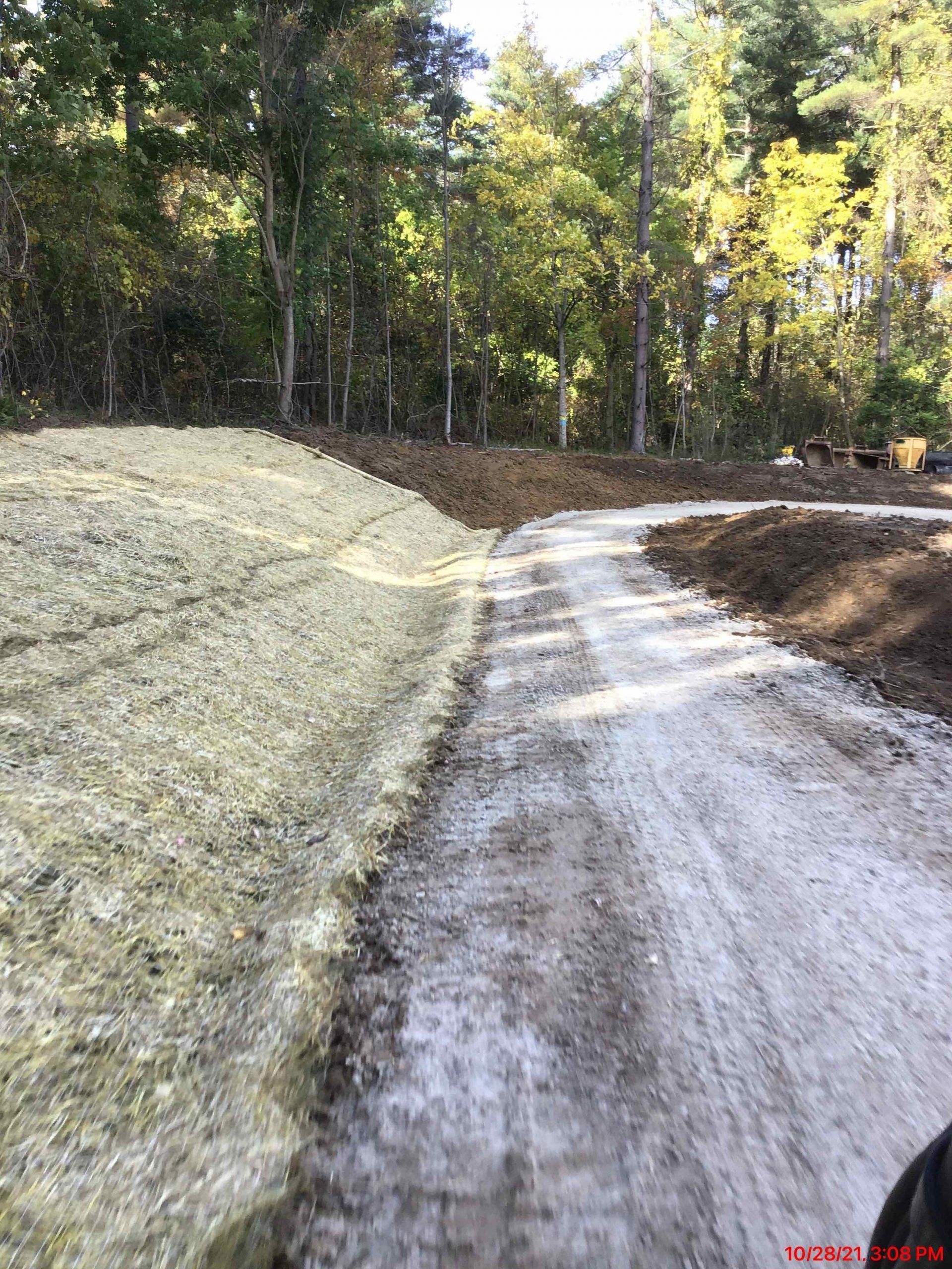 A dirt road going through a forest with trees on both sides.