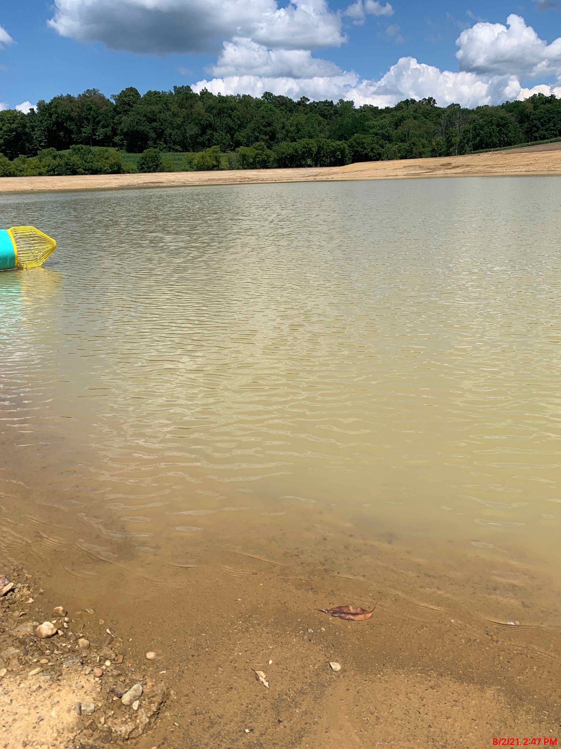 A large body of water surrounded by trees and a sandy beach.