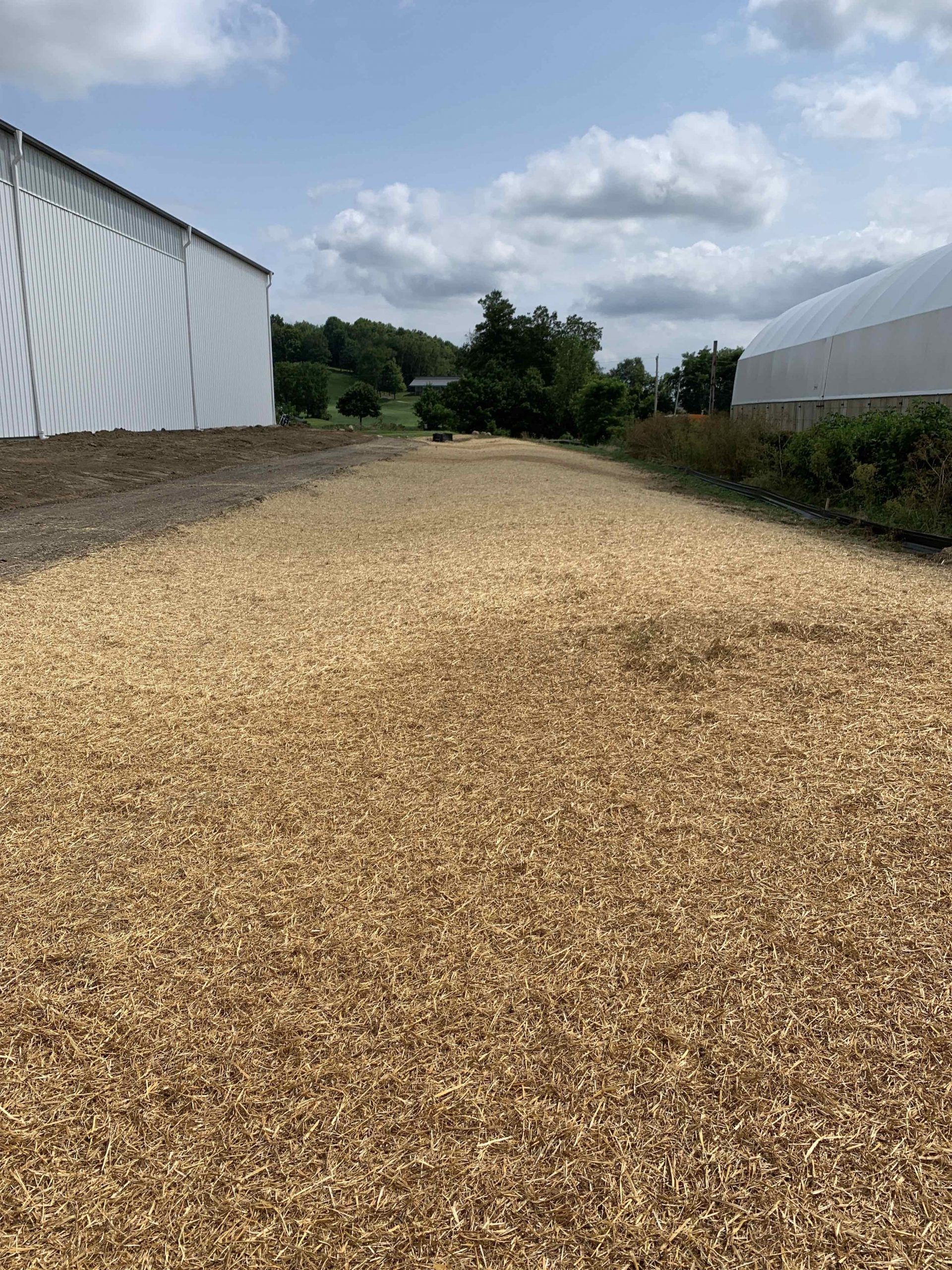 A pile of wood chips is sitting on the ground in front of a building.