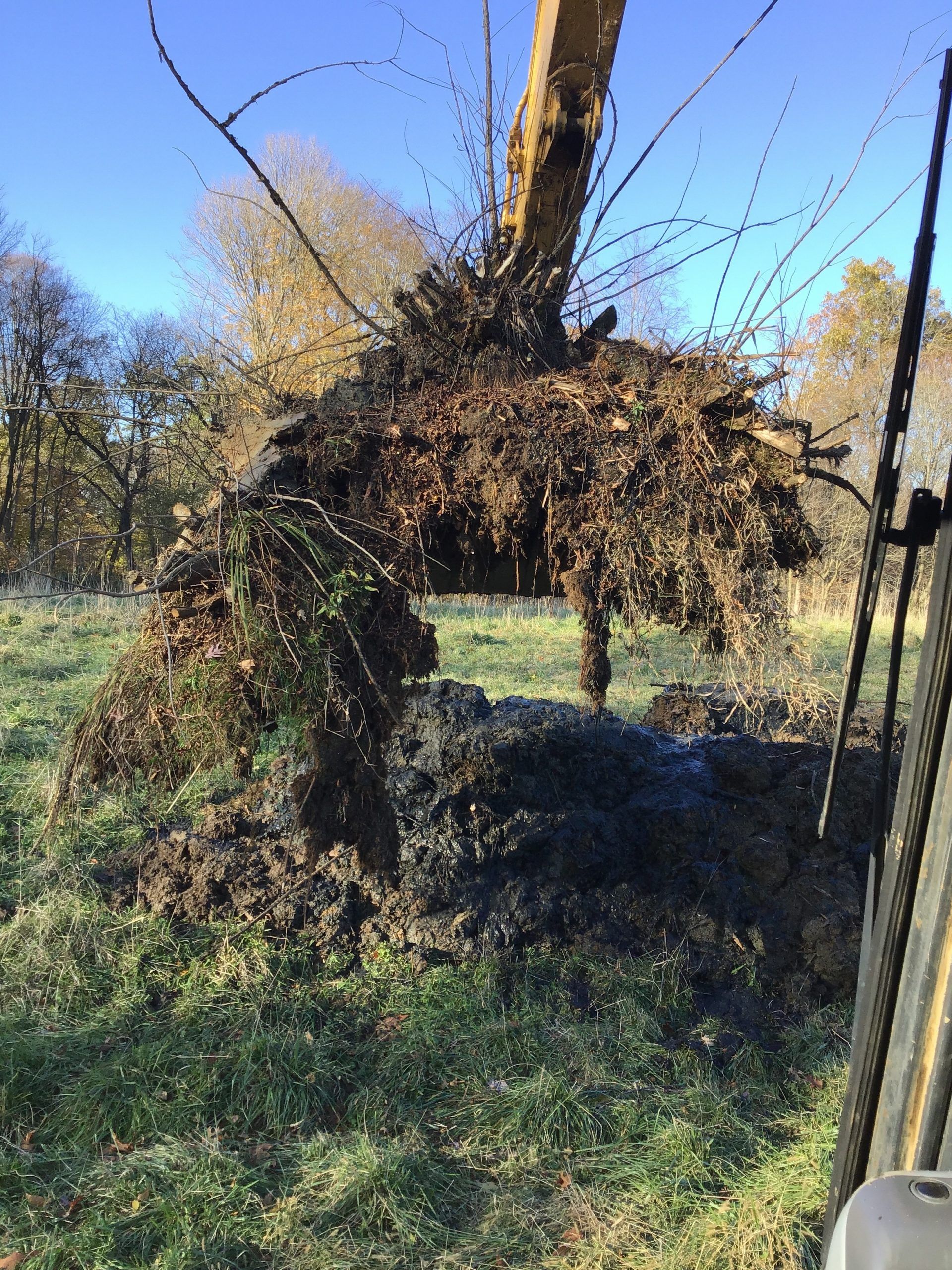 A large pile of branches is being removed from a tree in a field.
