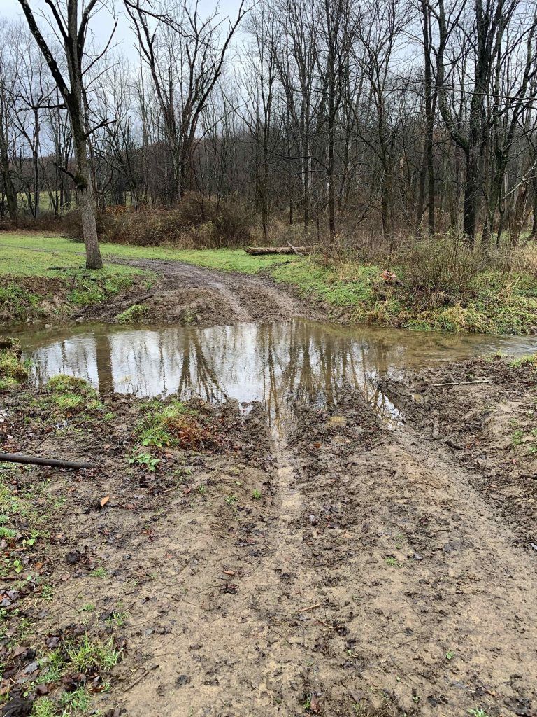 A muddy path leading to a puddle in the middle of a forest.