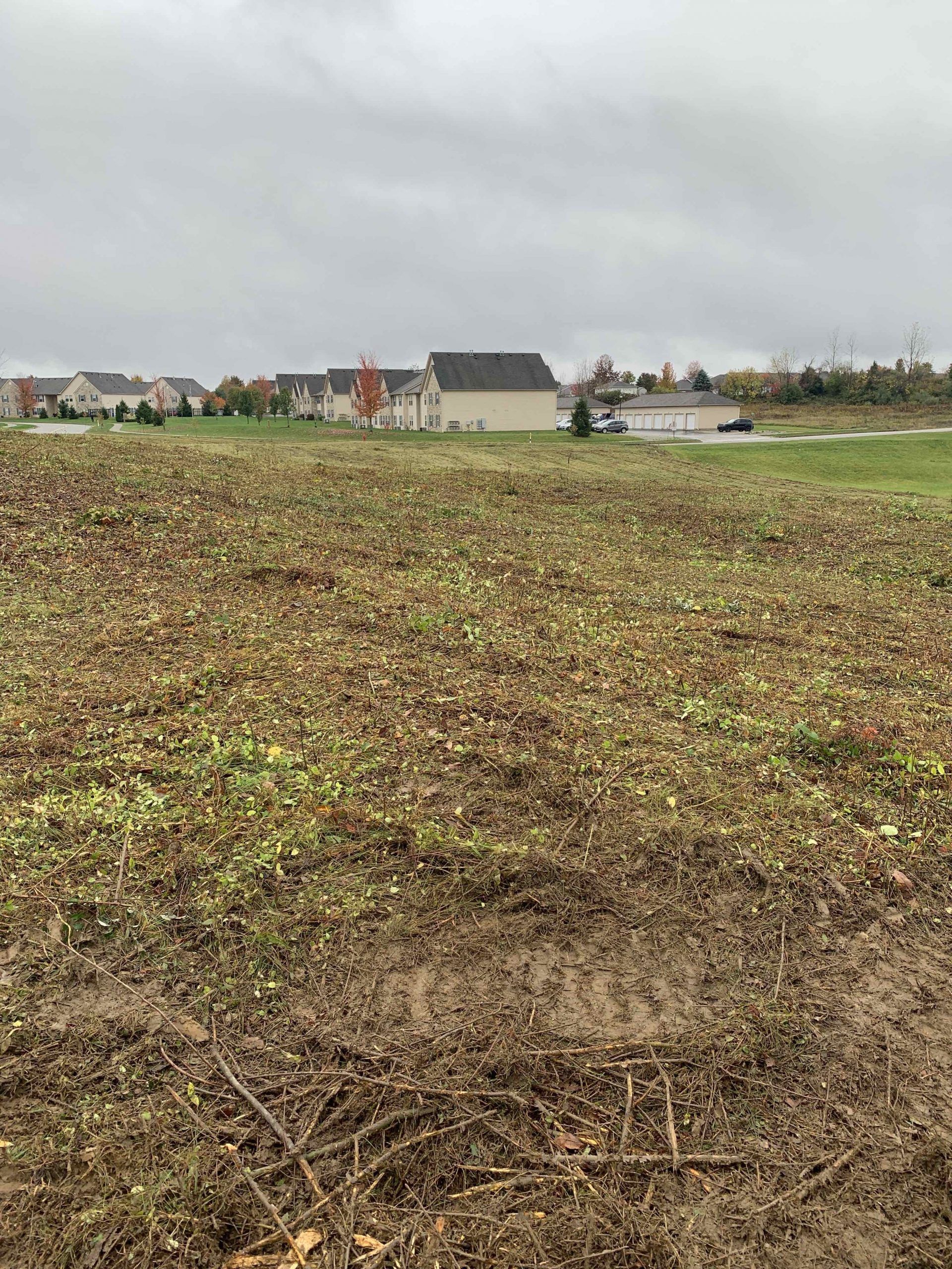 A large field with houses in the background on a cloudy day.