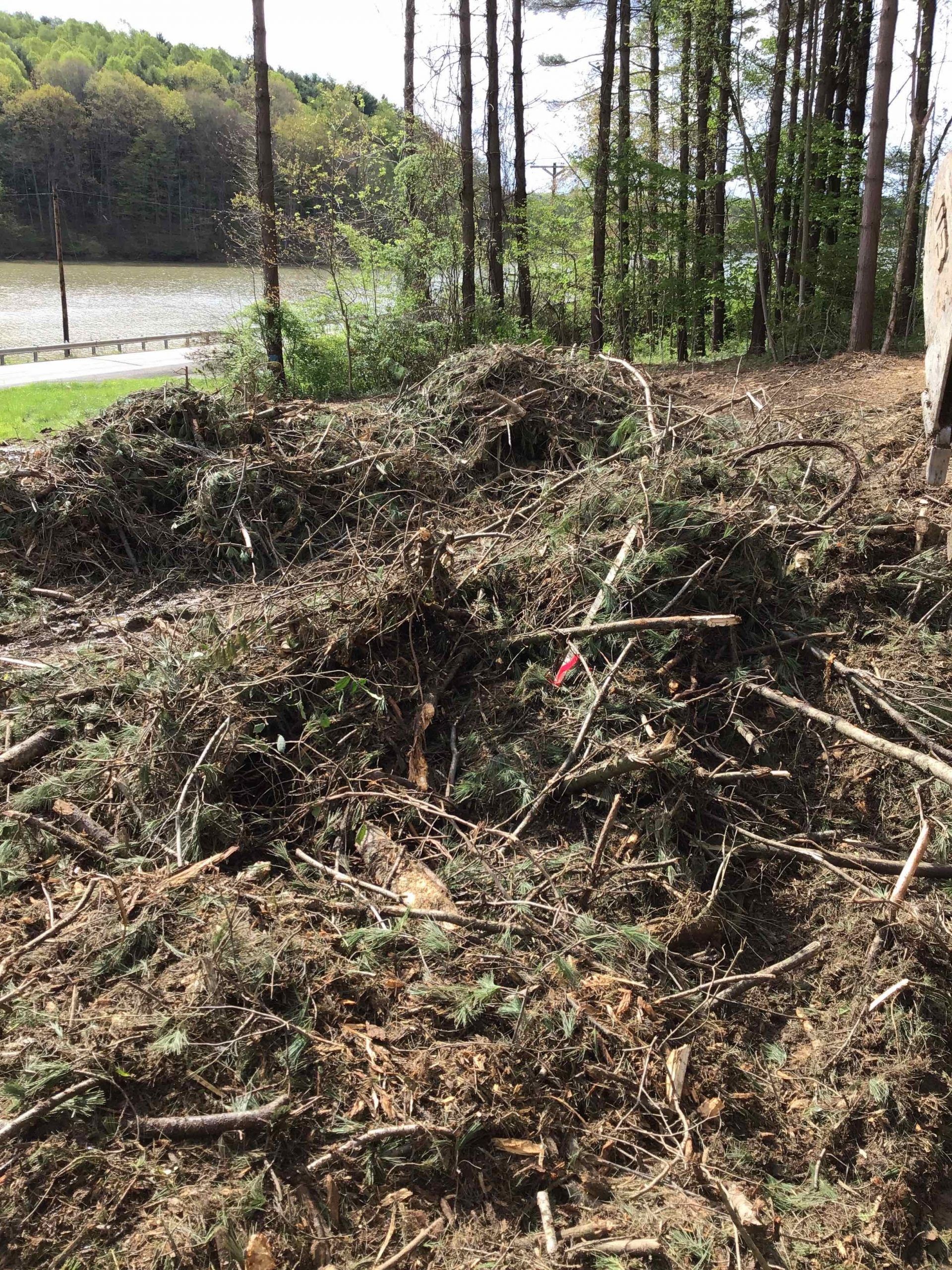 A pile of branches and twigs in a field with a lake in the background.