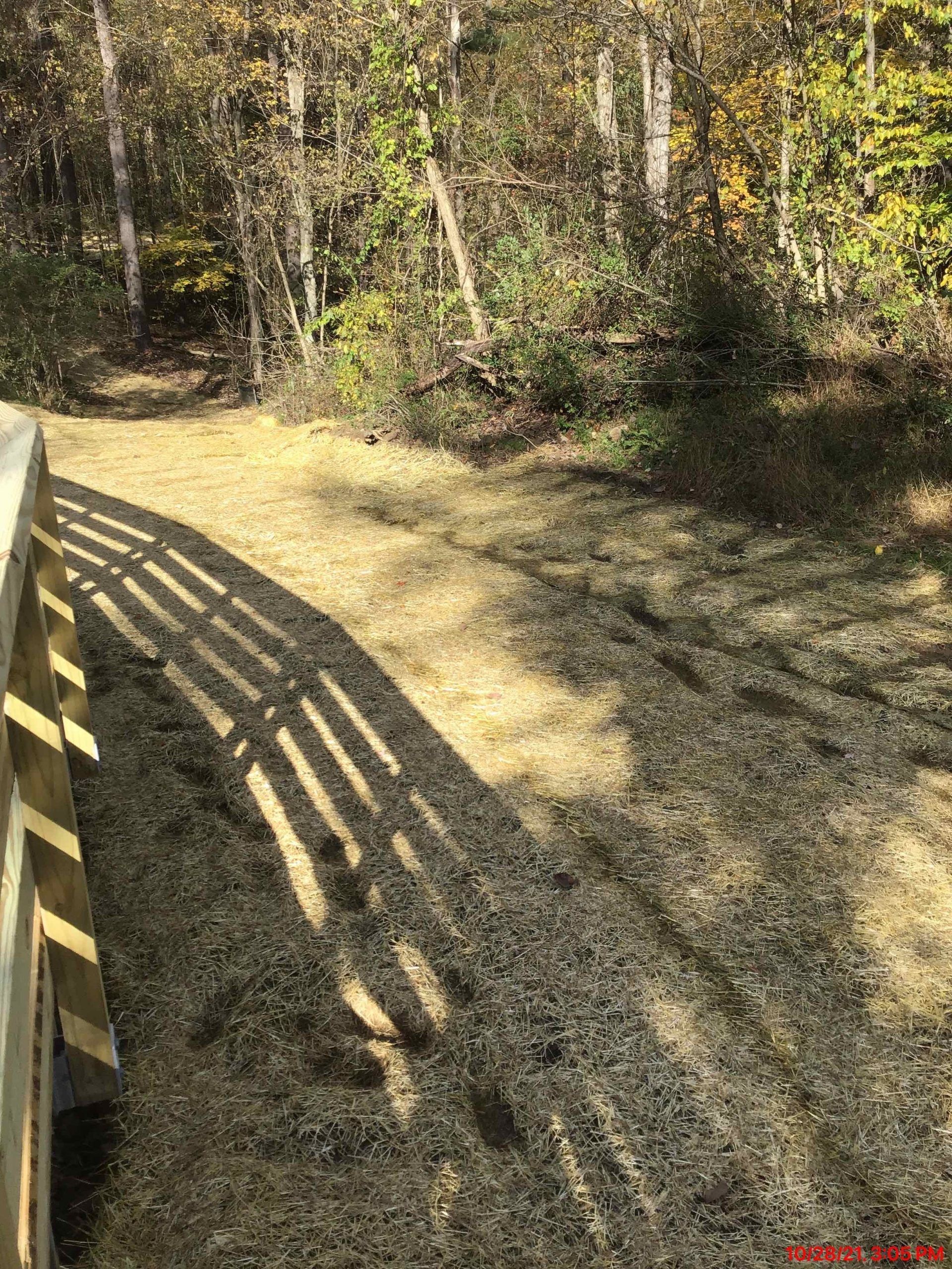 A train track in the middle of a forest with trees in the background.