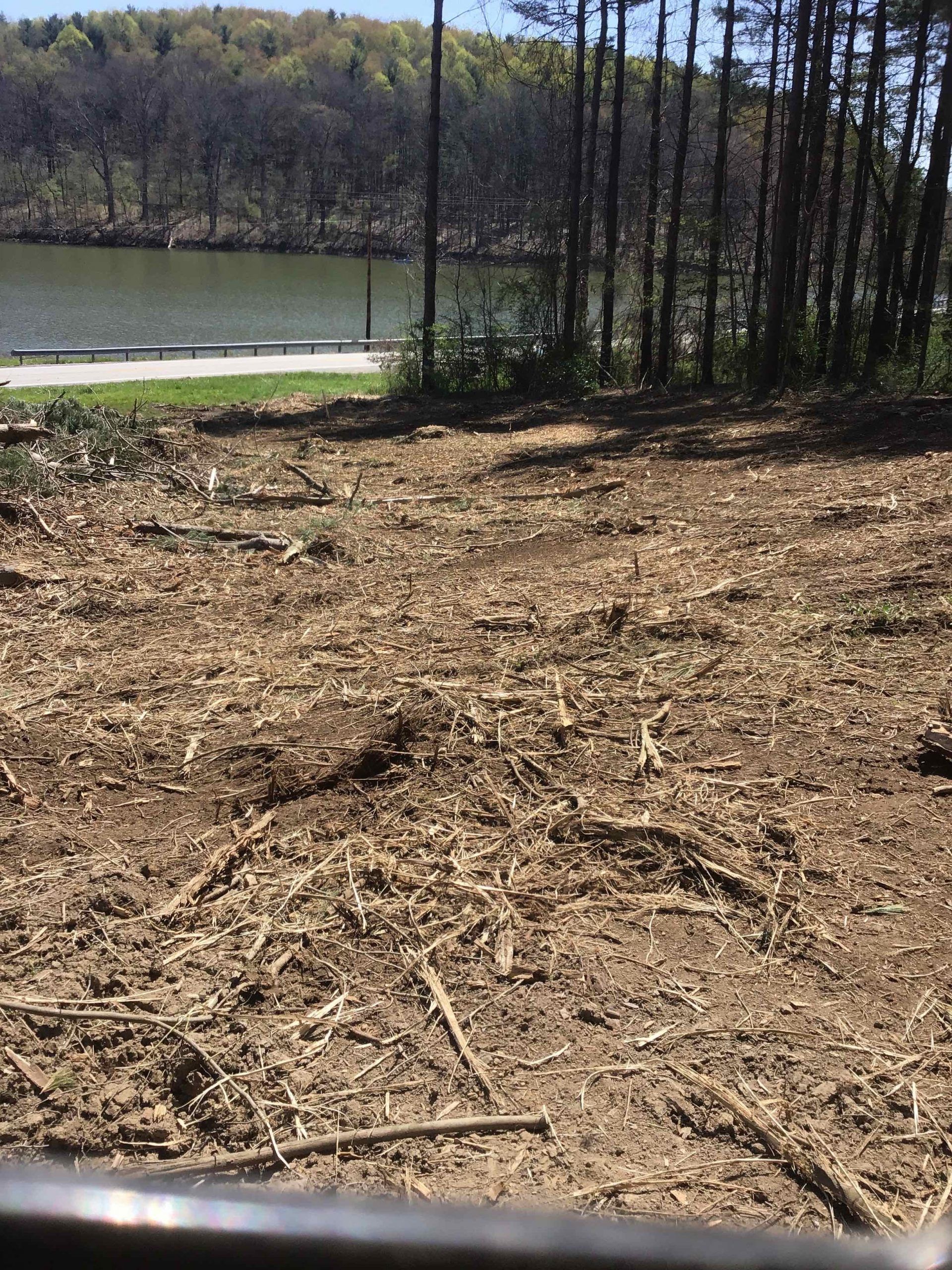 There is a lot of wood chips on the ground and a lake in the background.